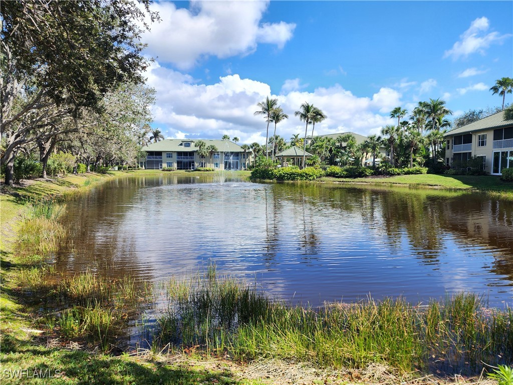 24640 Ivory Cane DR 101