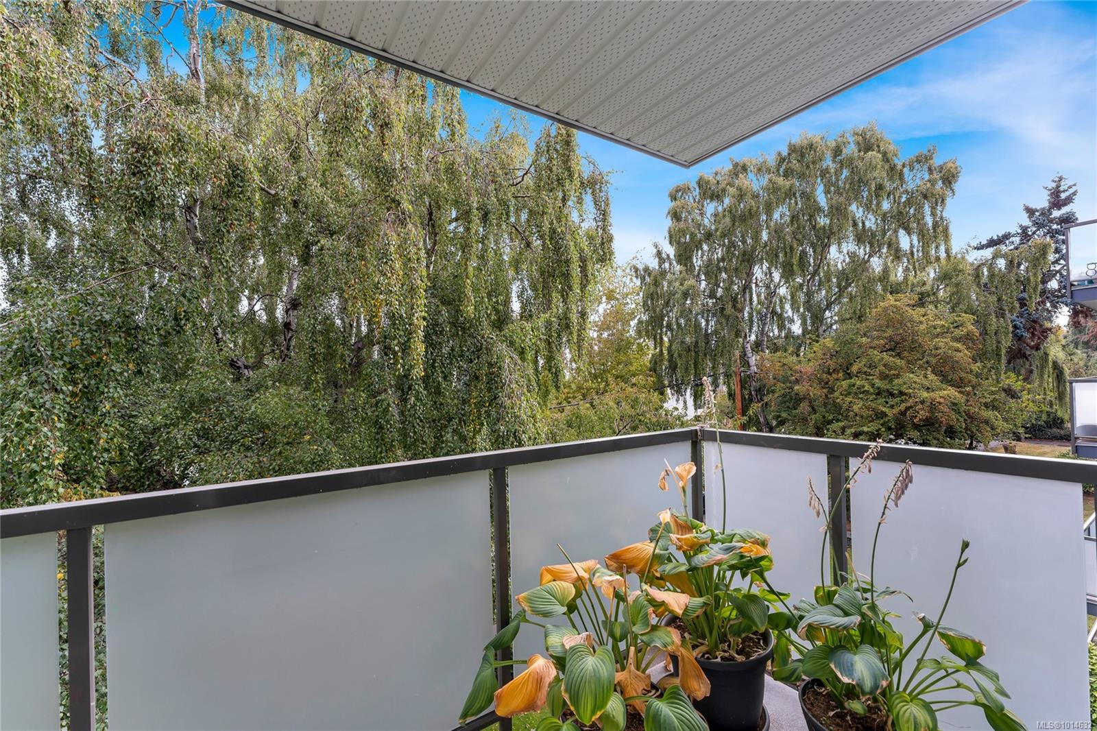 305 Michigan St # 302