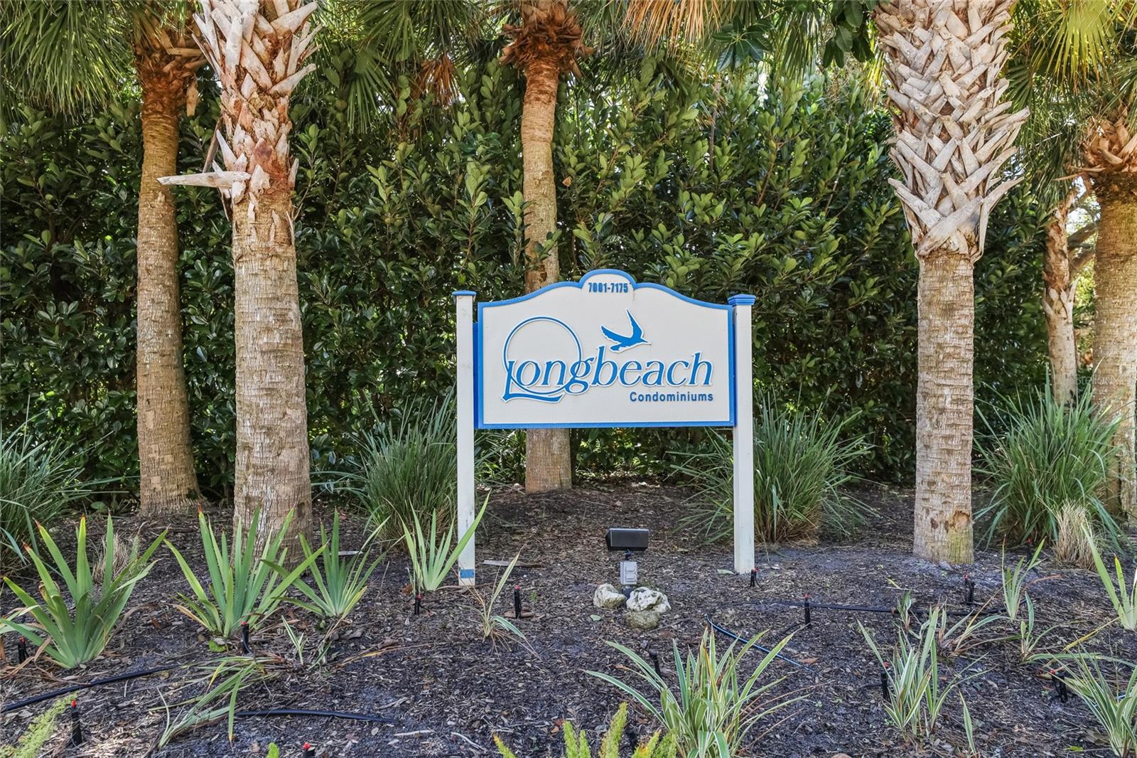 7001 GULF OF MEXICO DR #24