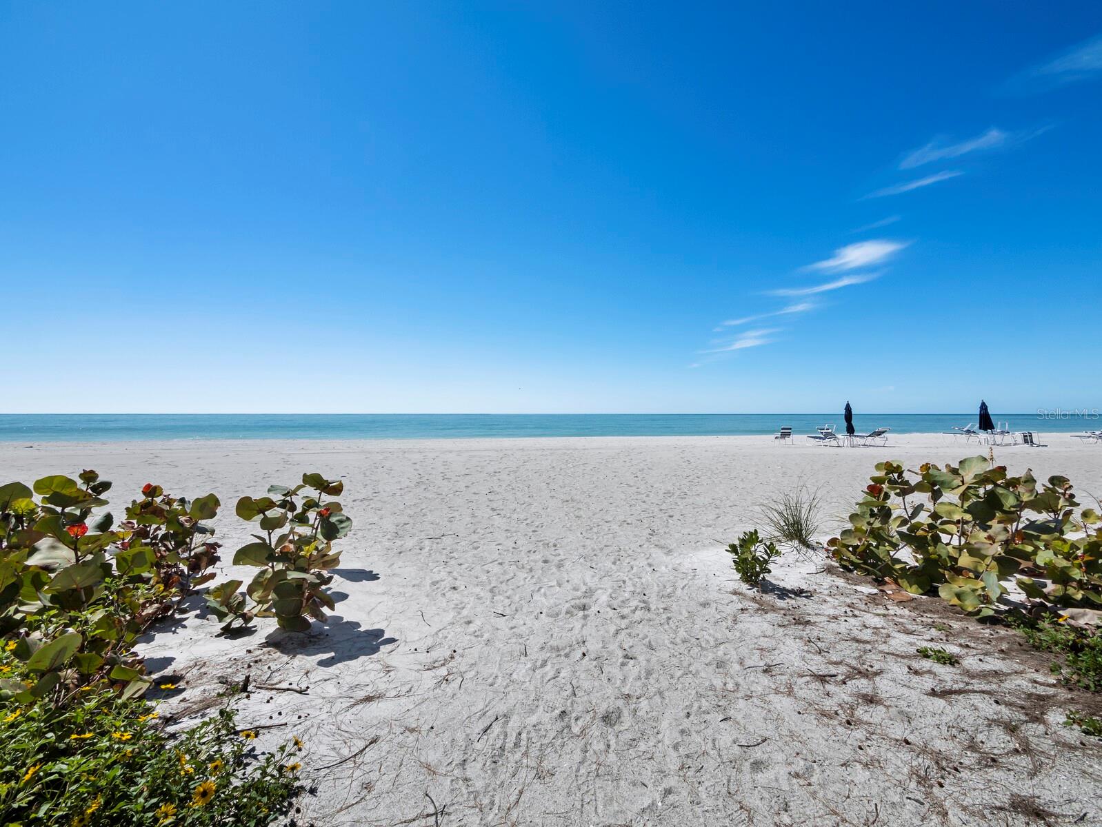 5055 GULF OF MEXICO DR #115