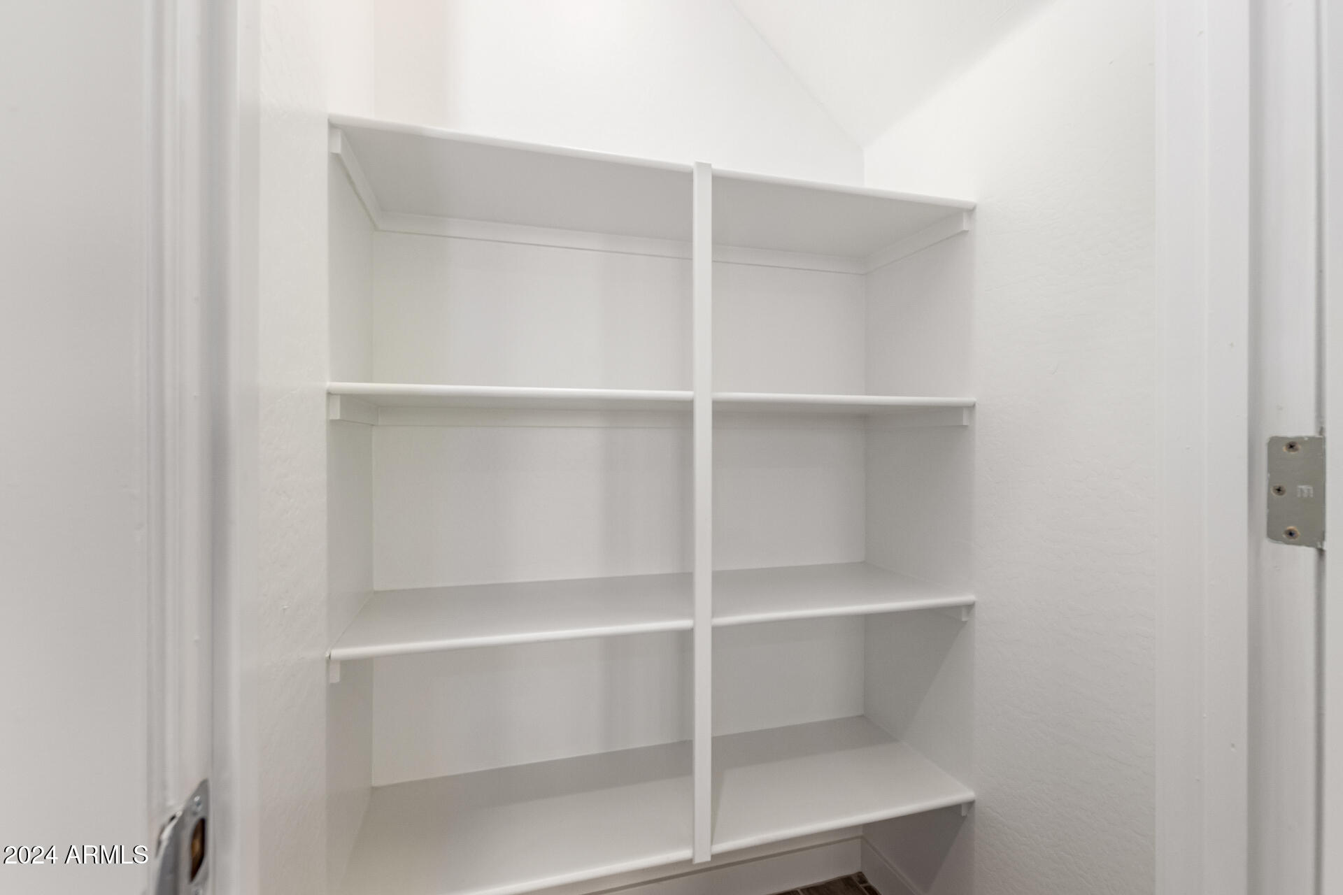 31751 N VELVET RUSH Road