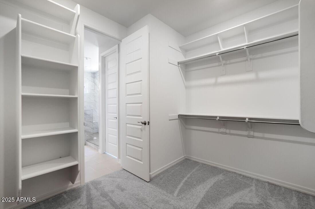 17118 W HACKAMORE Drive