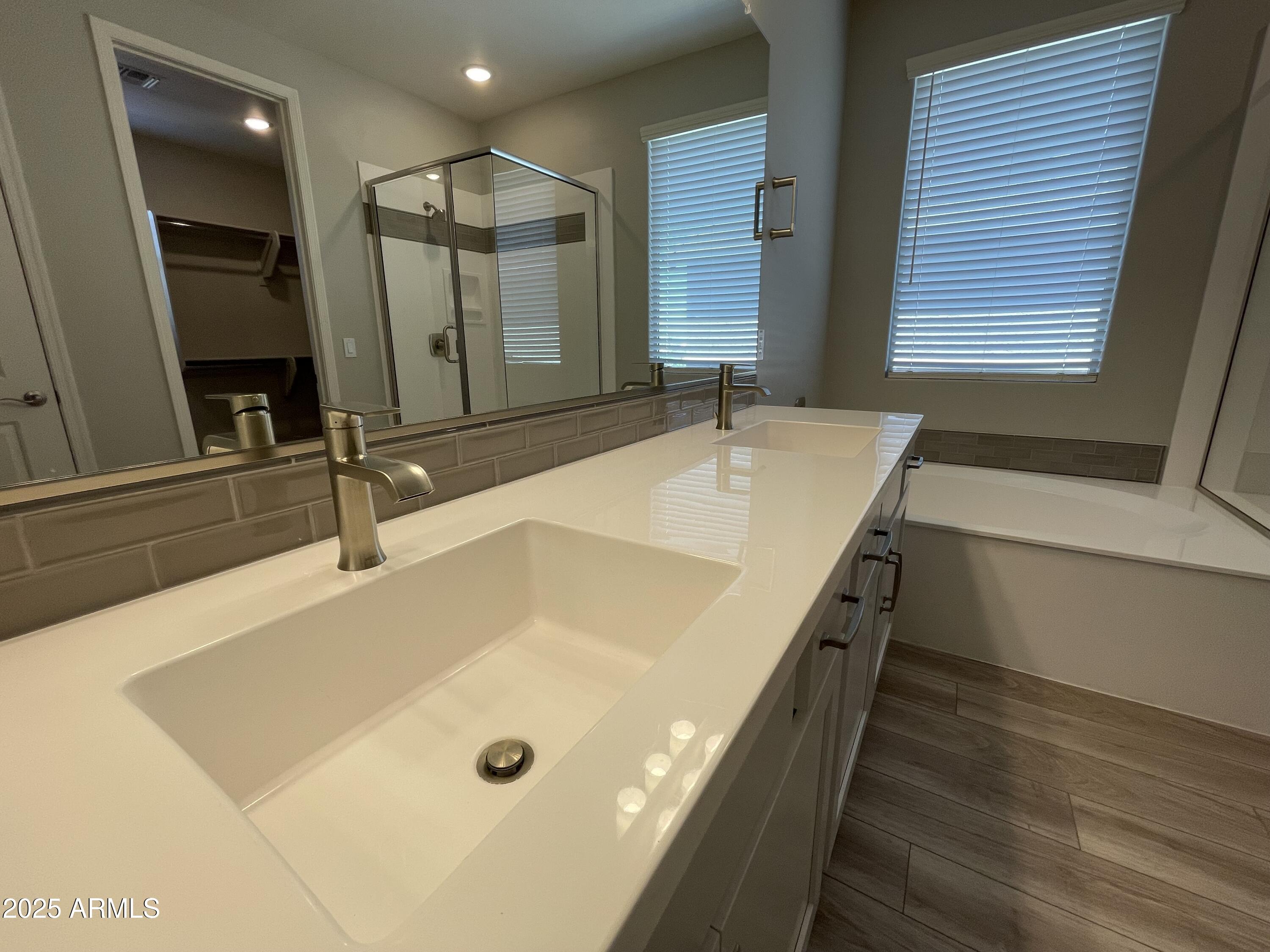 16241 W SOFT WIND Drive