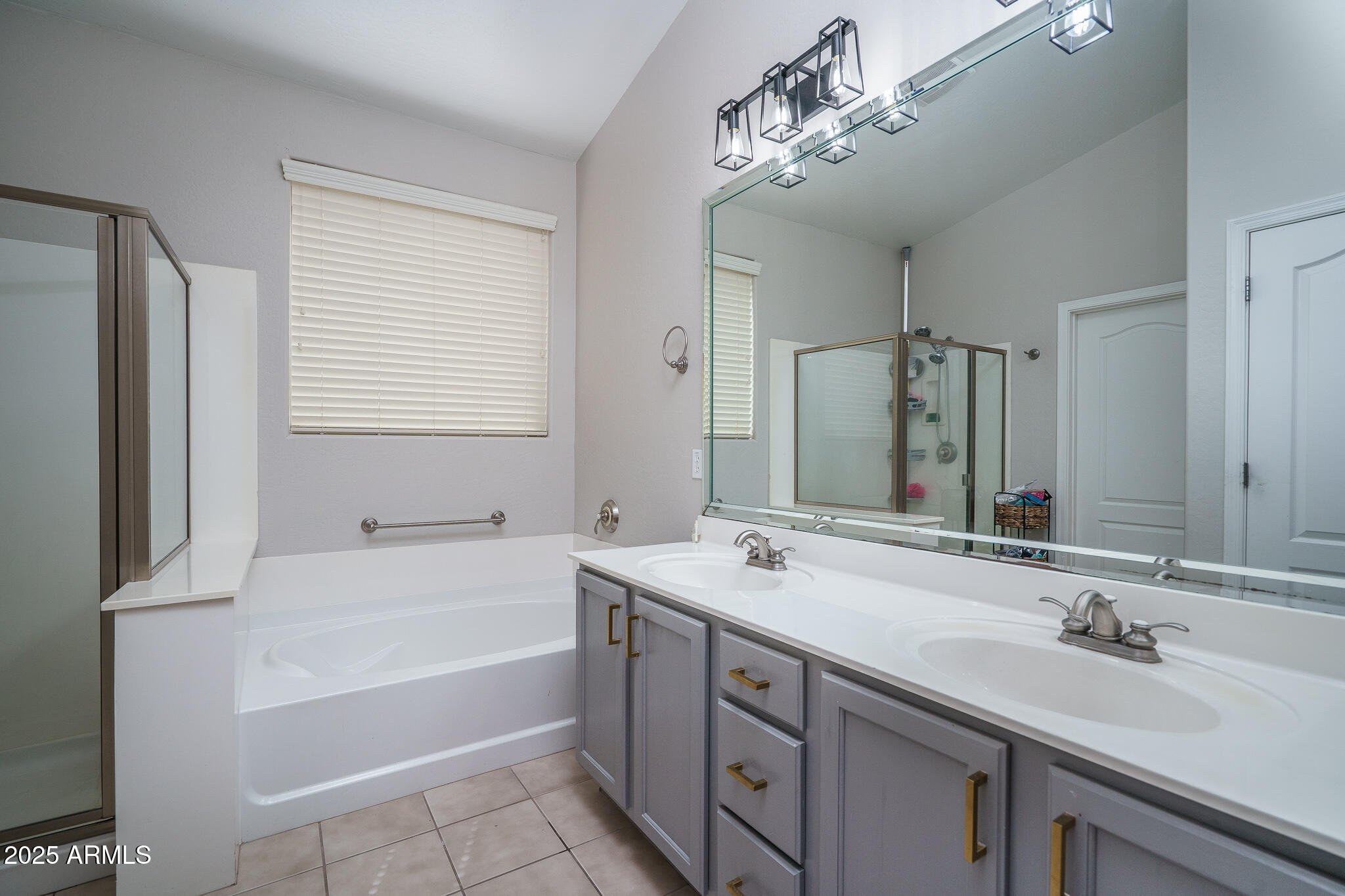 46047 W MEADOWS Lane