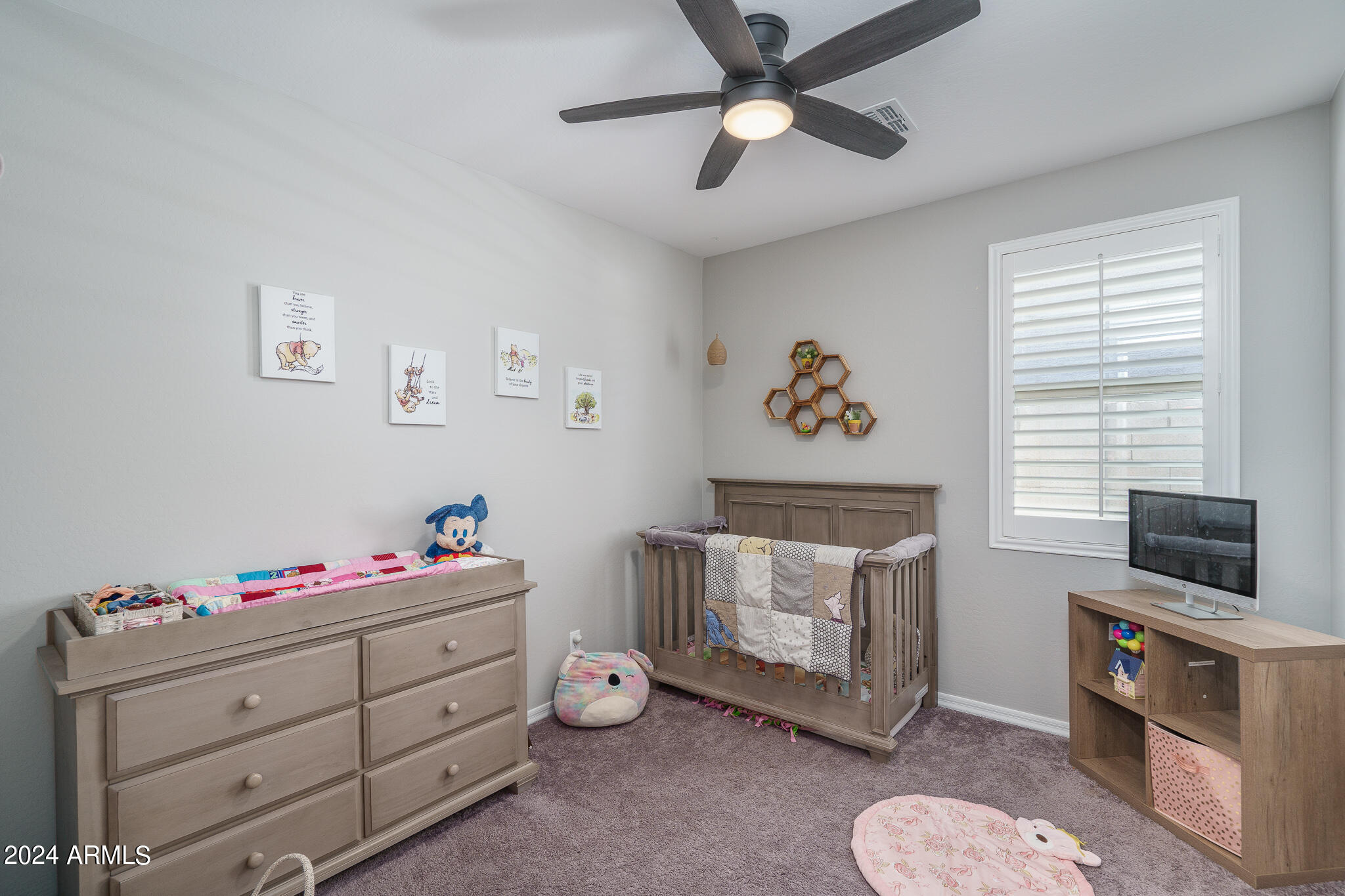 11987 S 172ND Avenue