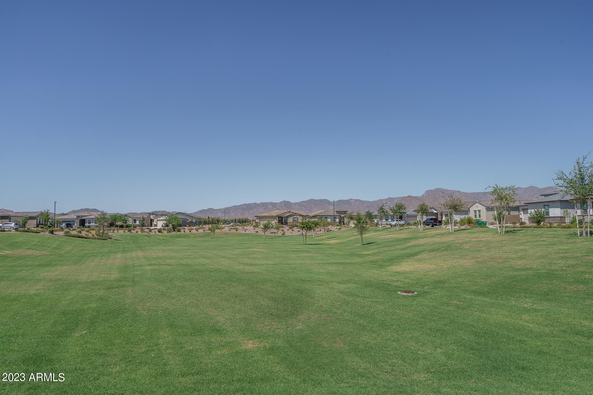 18352 W MEDLOCK Drive