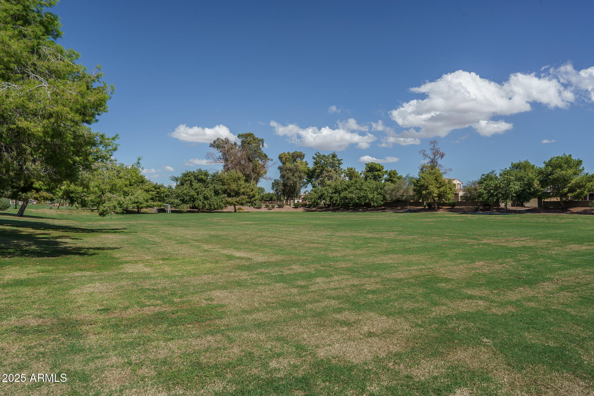 14852 W ALDEA Drive N, Litchfield Park