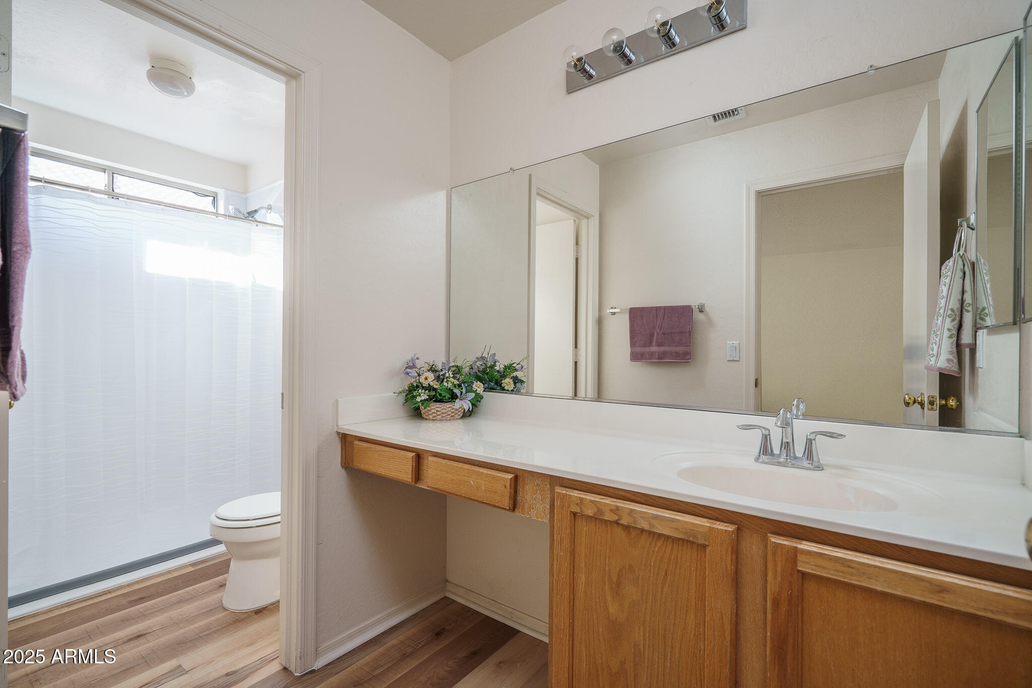 12426 W FLORES Drive, El Mirage