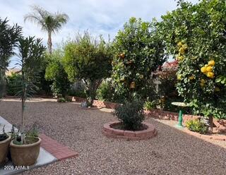 690 W DRAGON TREE Avenue