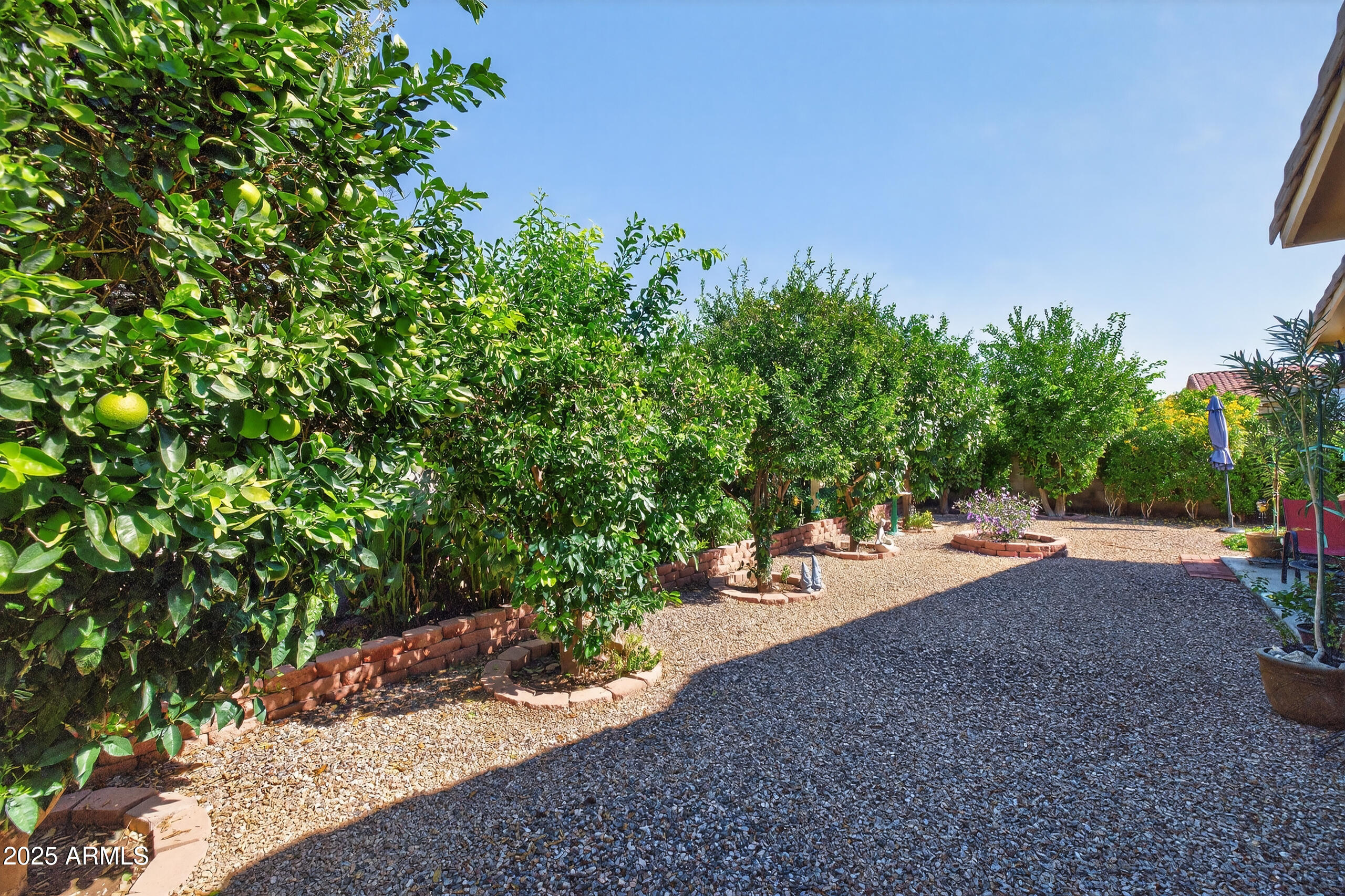 690 W DRAGON TREE Avenue