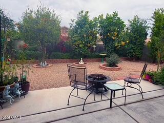 690 W DRAGON TREE Avenue