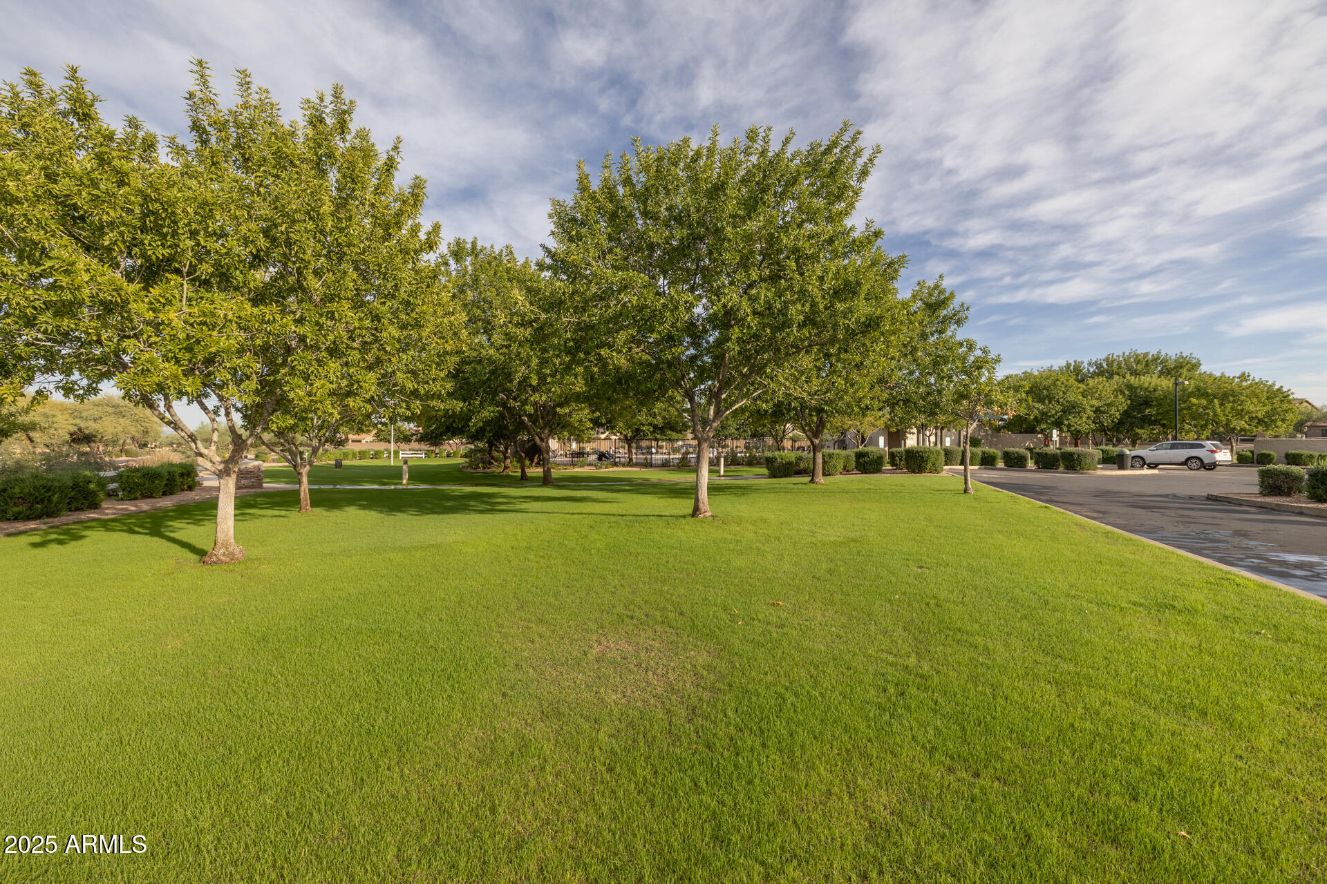 28305 N DESERT NATIVE Street