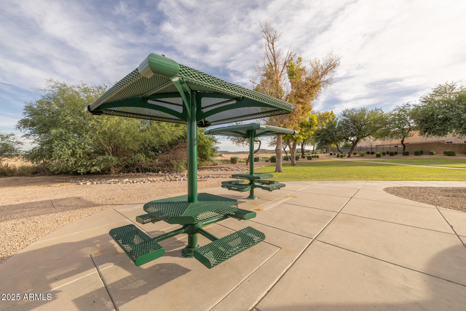 28305 N DESERT NATIVE Street