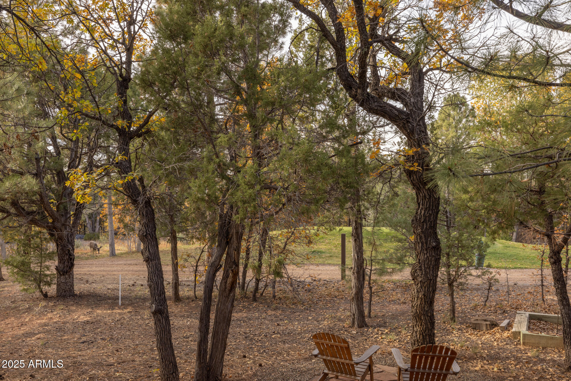 4240 W SUGAR PINE Loop