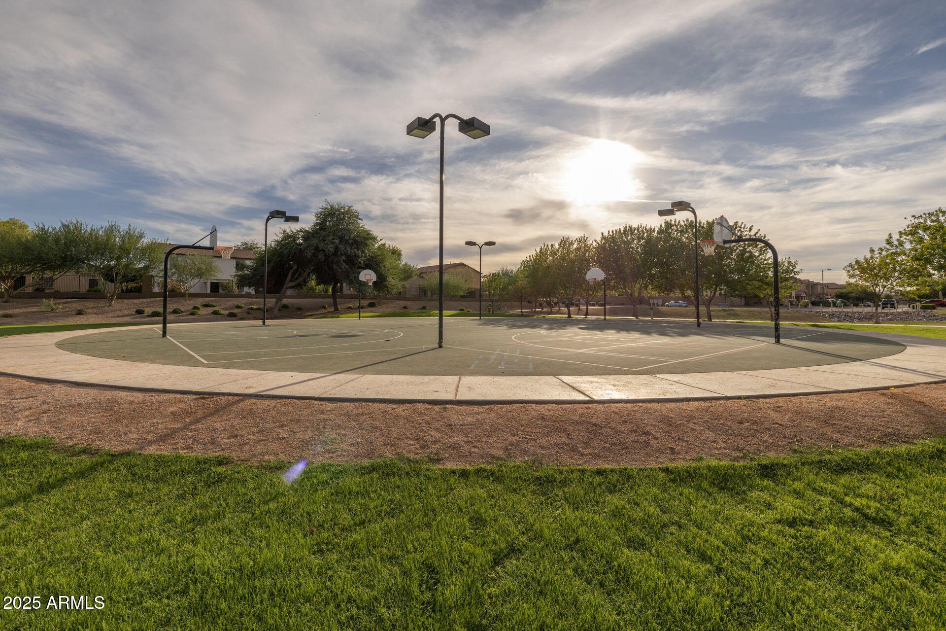 32164 N SUNFLOWER Trail