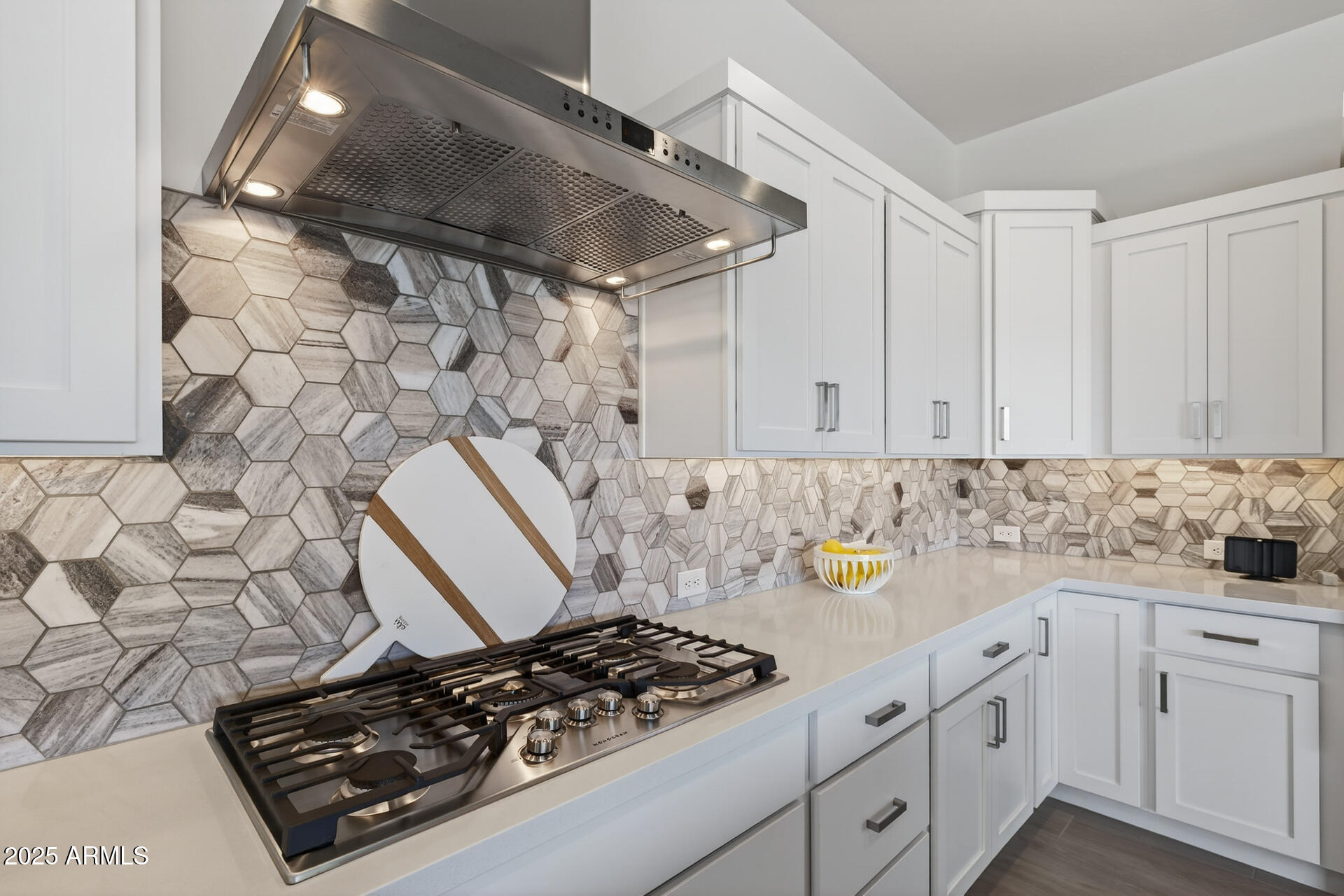 28911 N AGUA VERDE Drive