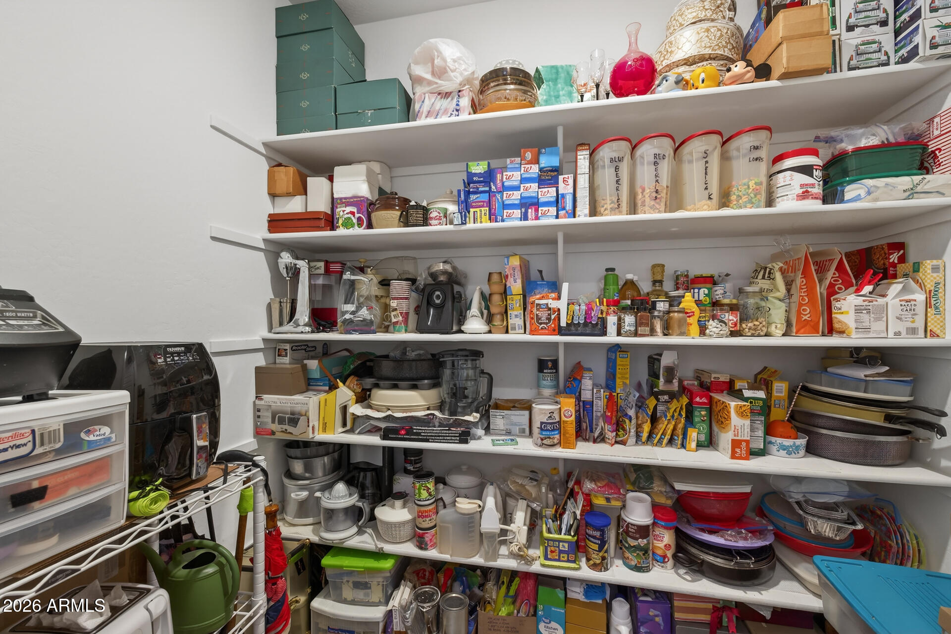 1540 W DESERT SPOON Drive