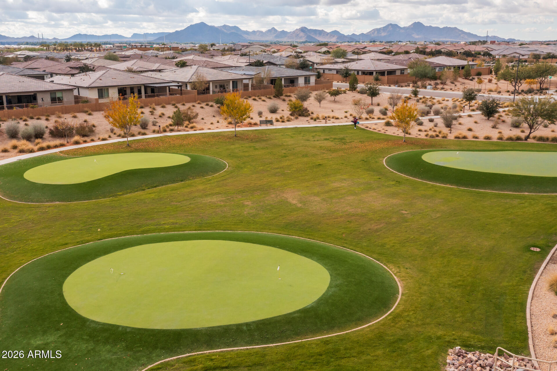 1540 W DESERT SPOON Drive