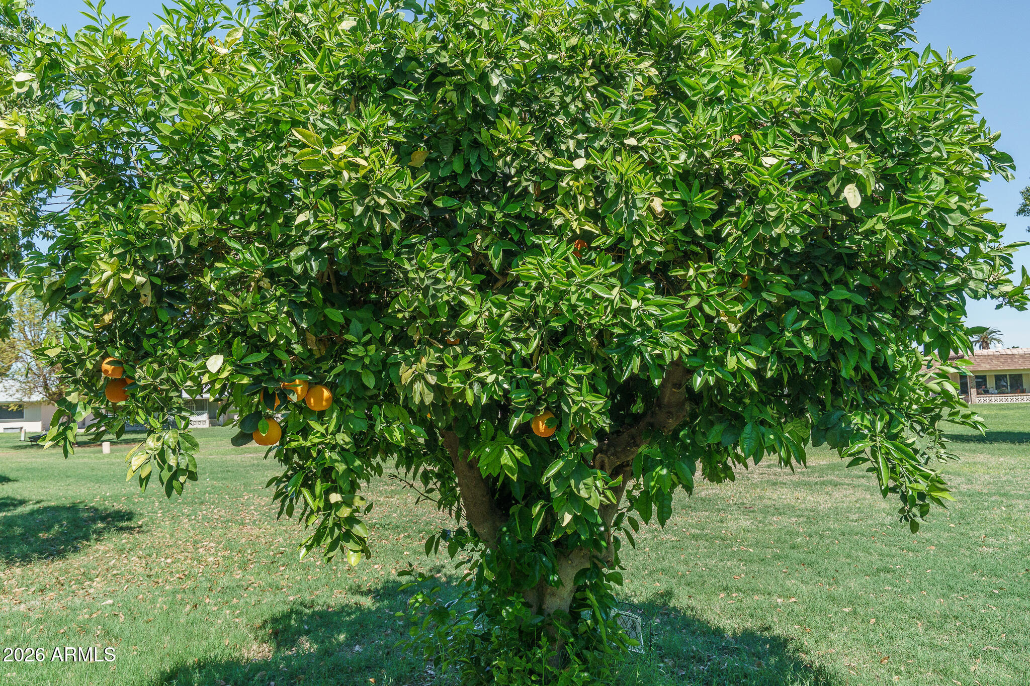 14835 N BOSWELL Boulevard