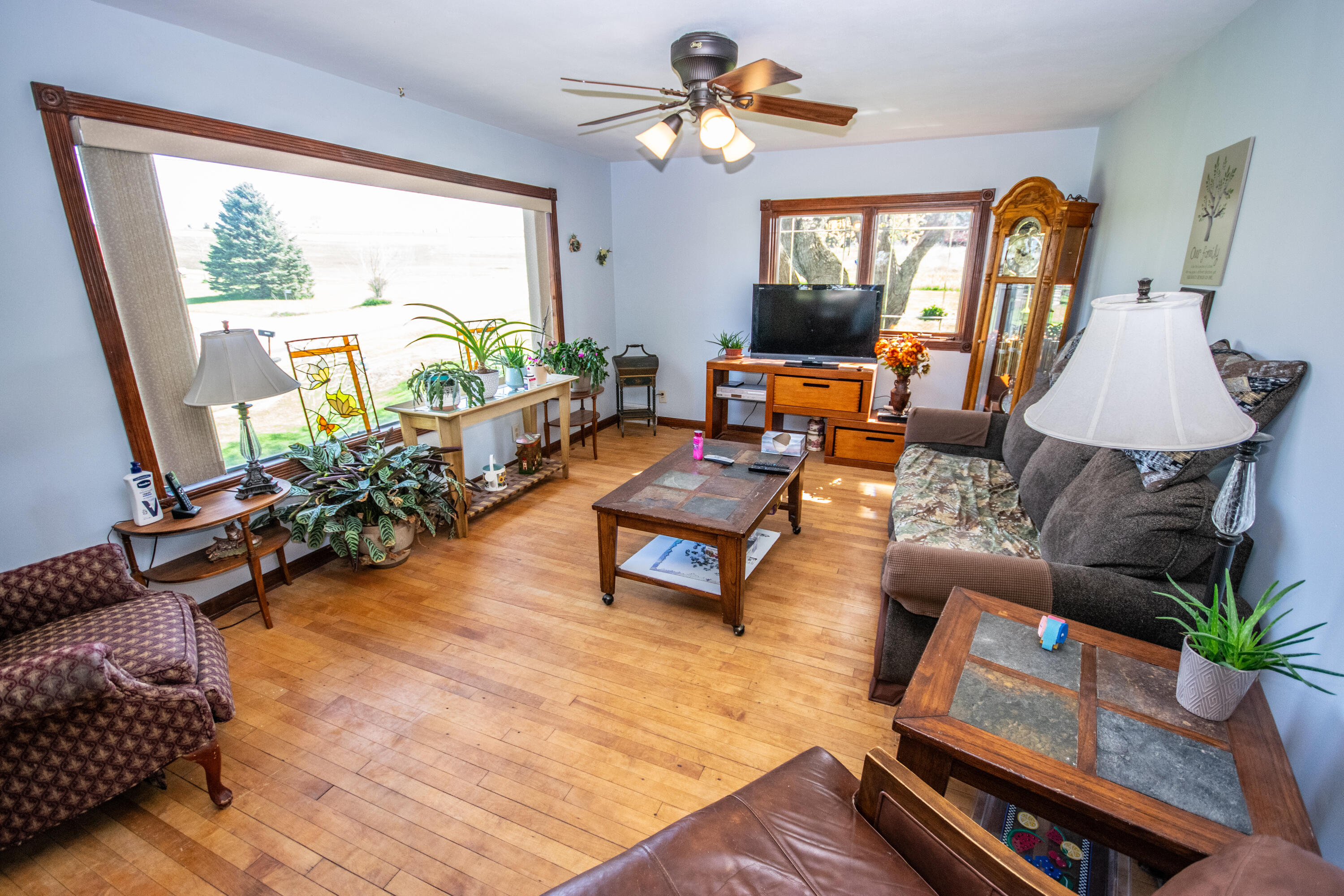 5291 Deer Rd, Addison