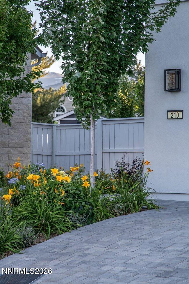 210 Criollo Court
