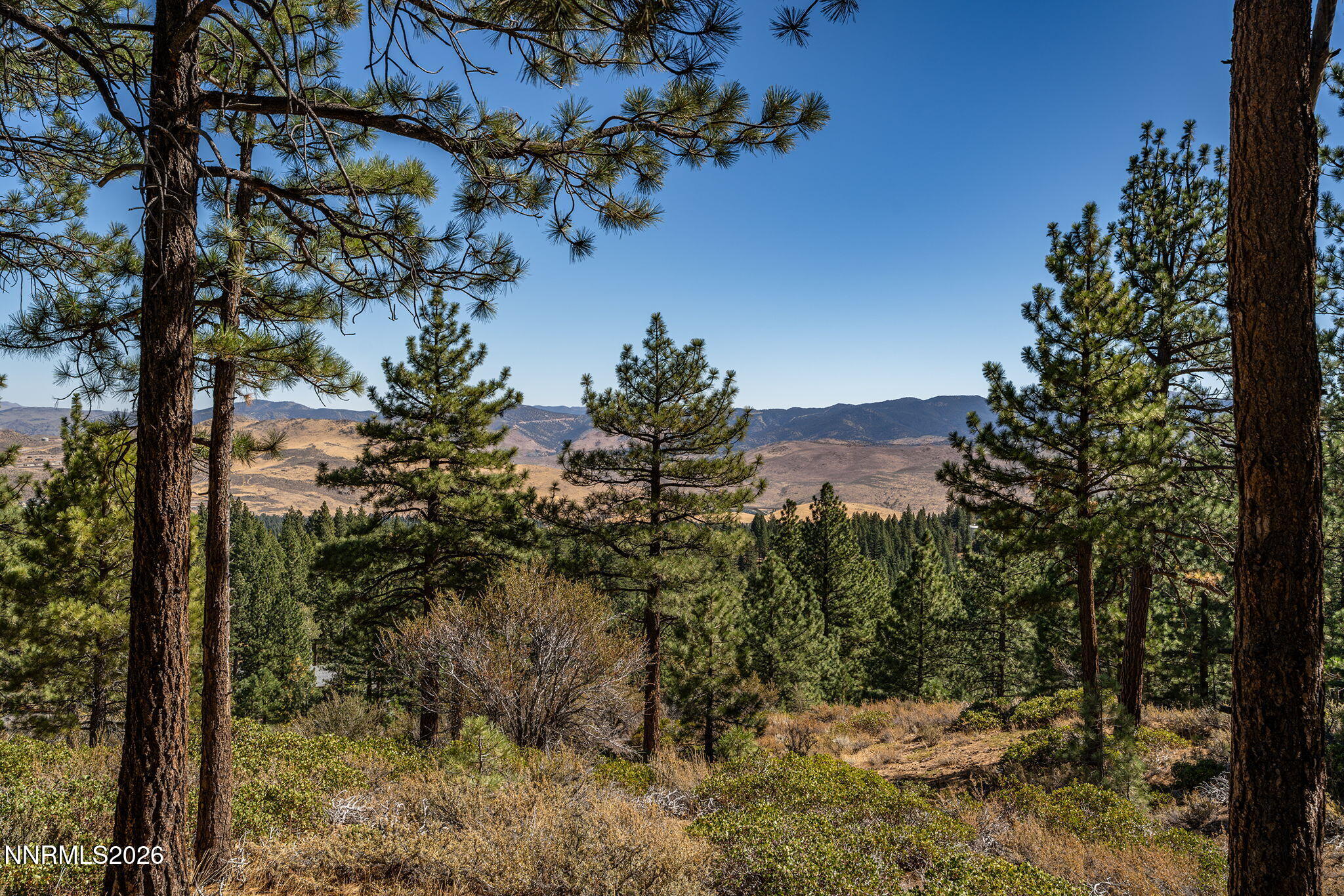237 E Jeffrey Pine Road