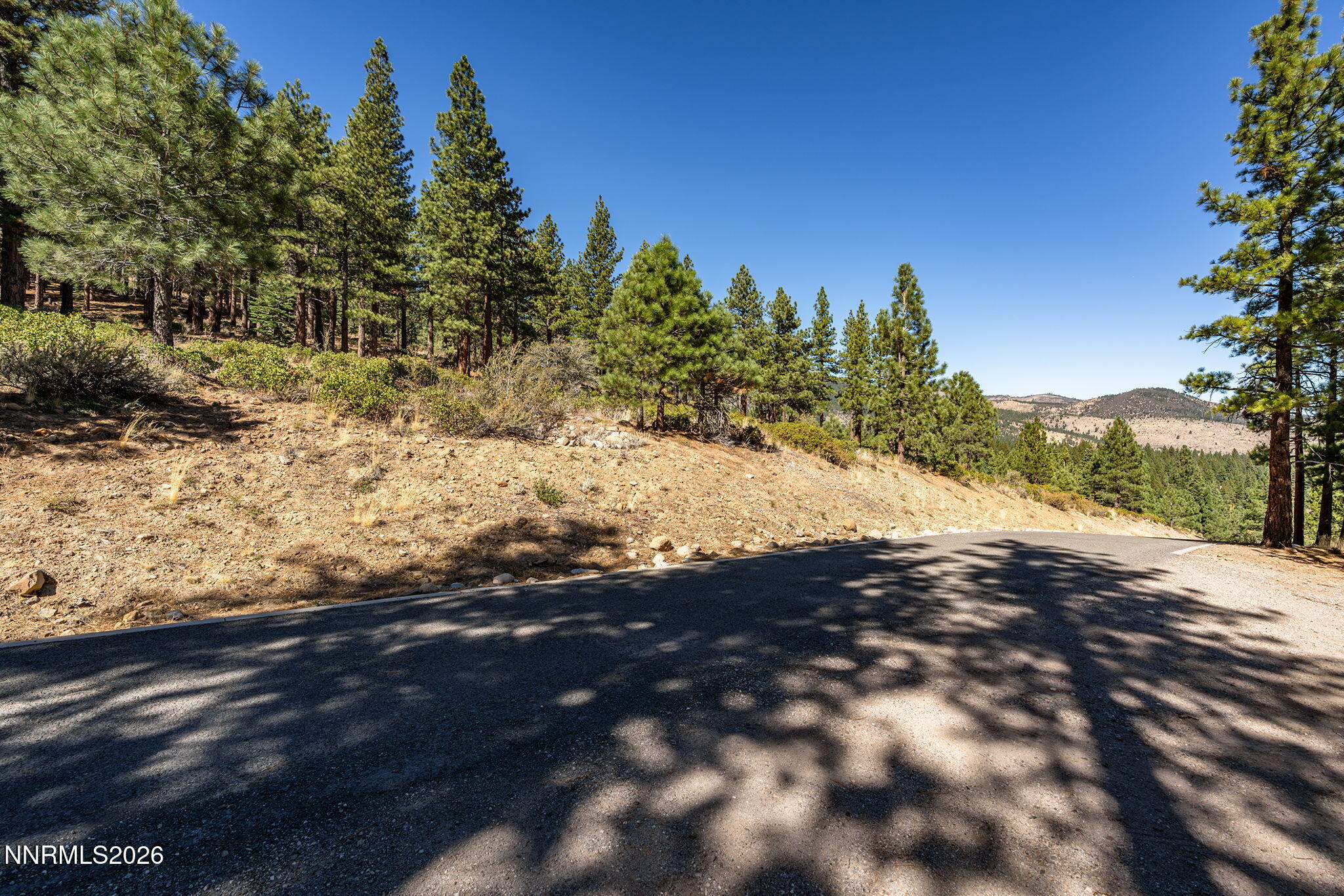 237 E Jeffrey Pine Road
