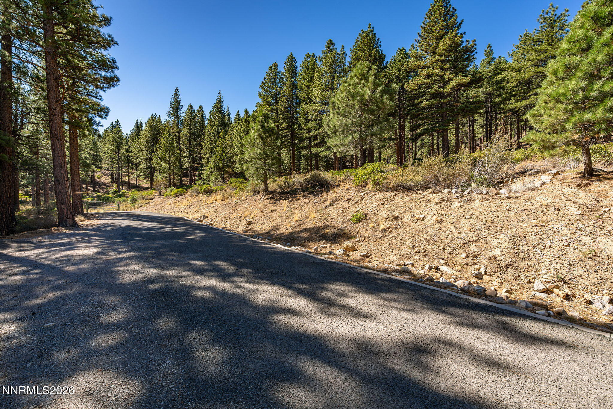 237 E Jeffrey Pine Road