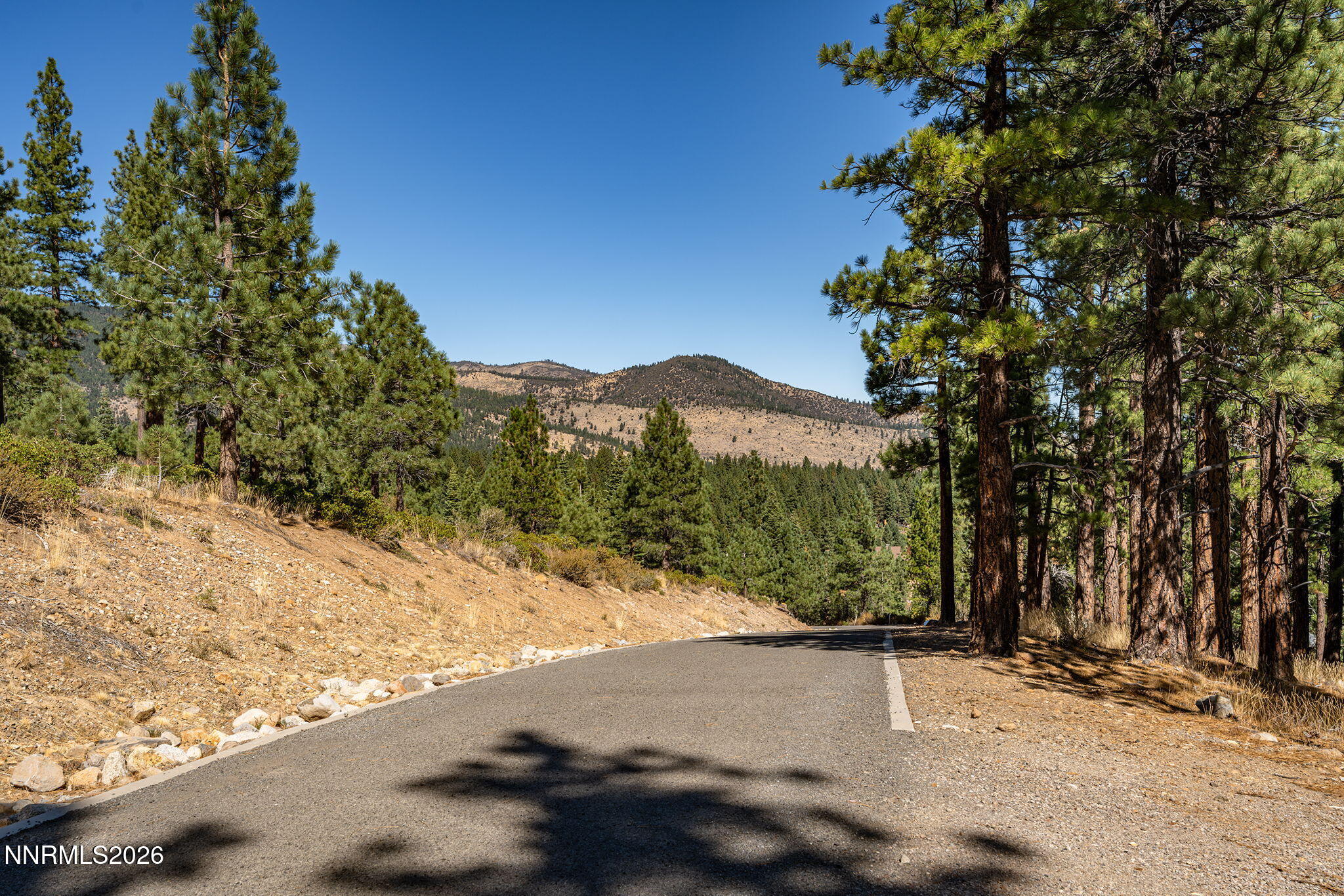 237 E Jeffrey Pine Road