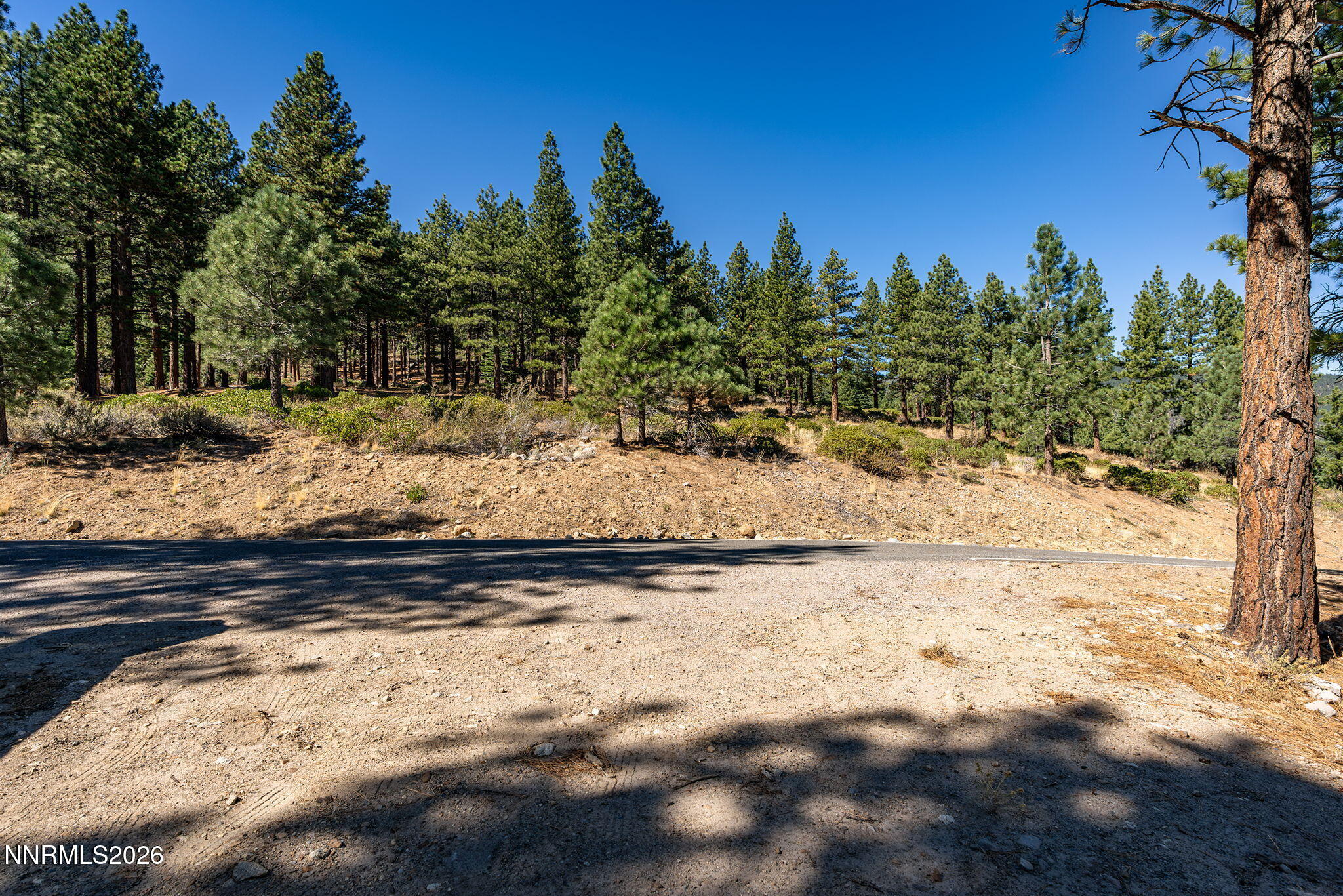 237 E Jeffrey Pine Road