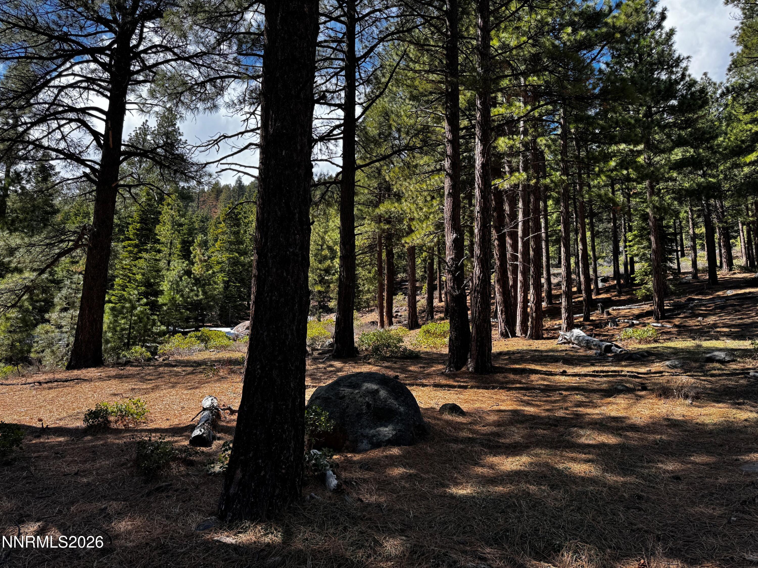 237 E Jeffrey Pine Road