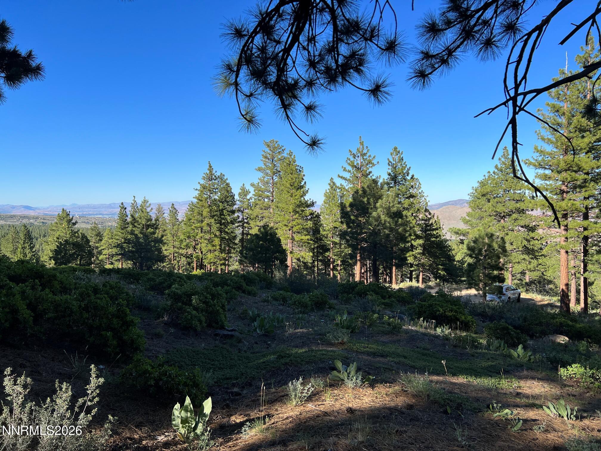 237 E Jeffrey Pine Road