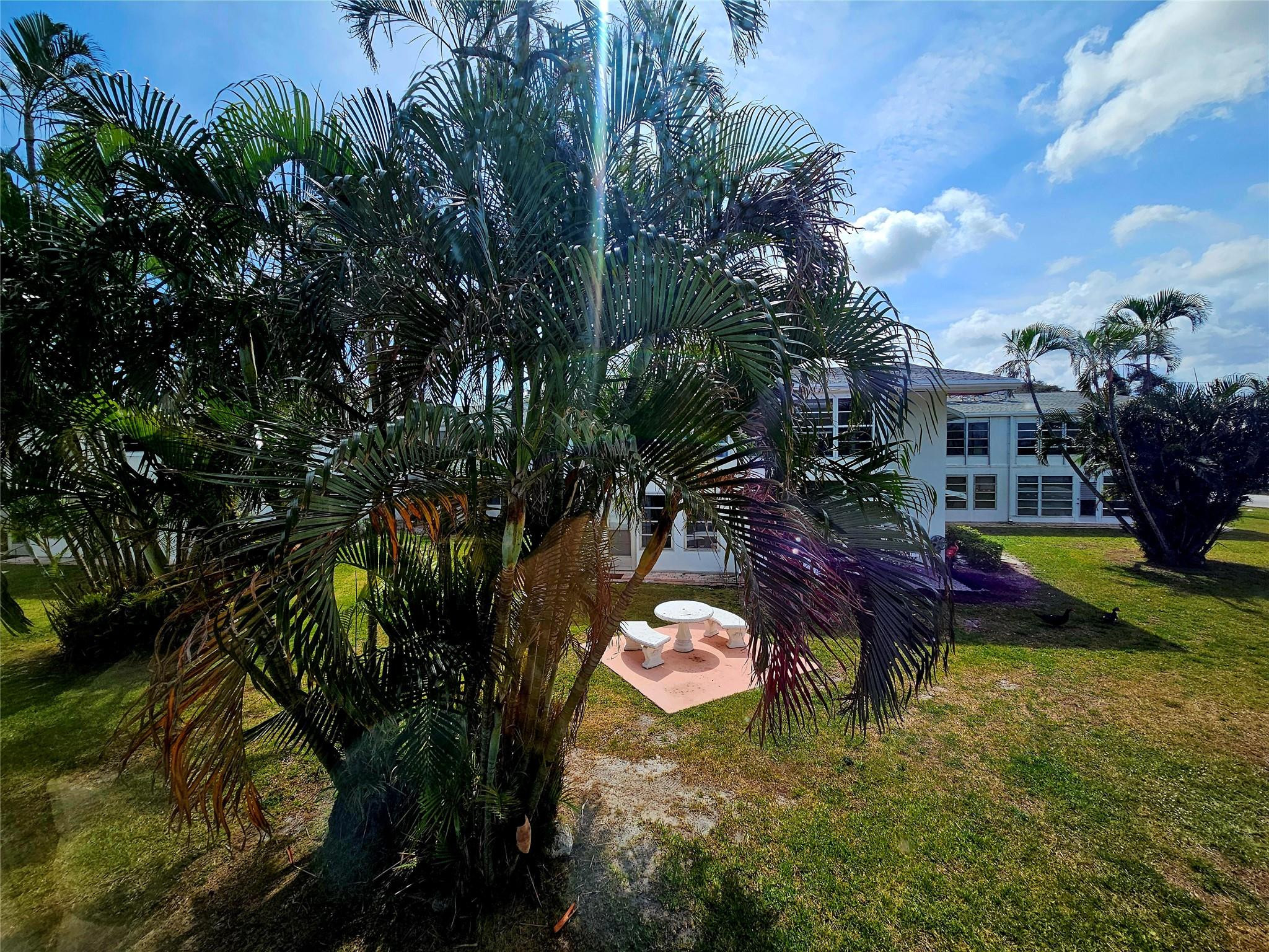 2204 Lake Osborne 14