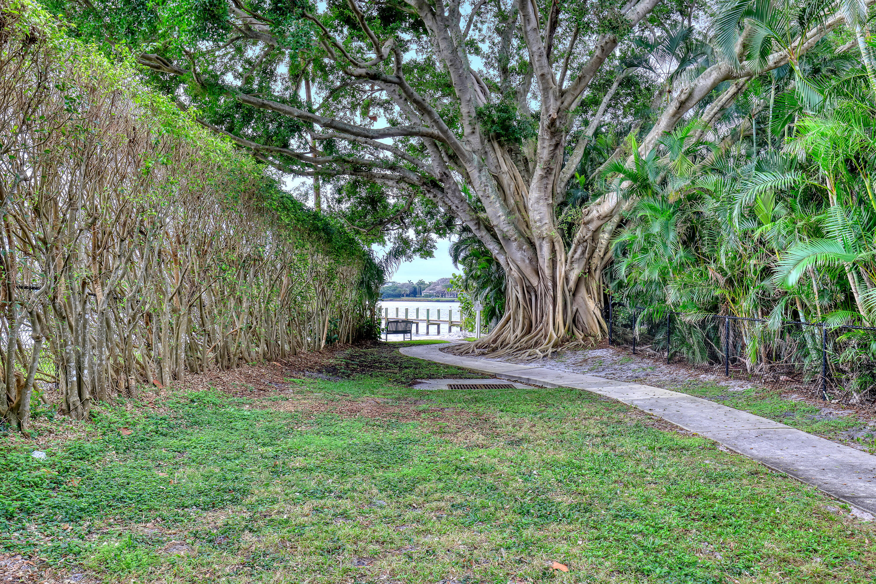 15 Shady Lane
