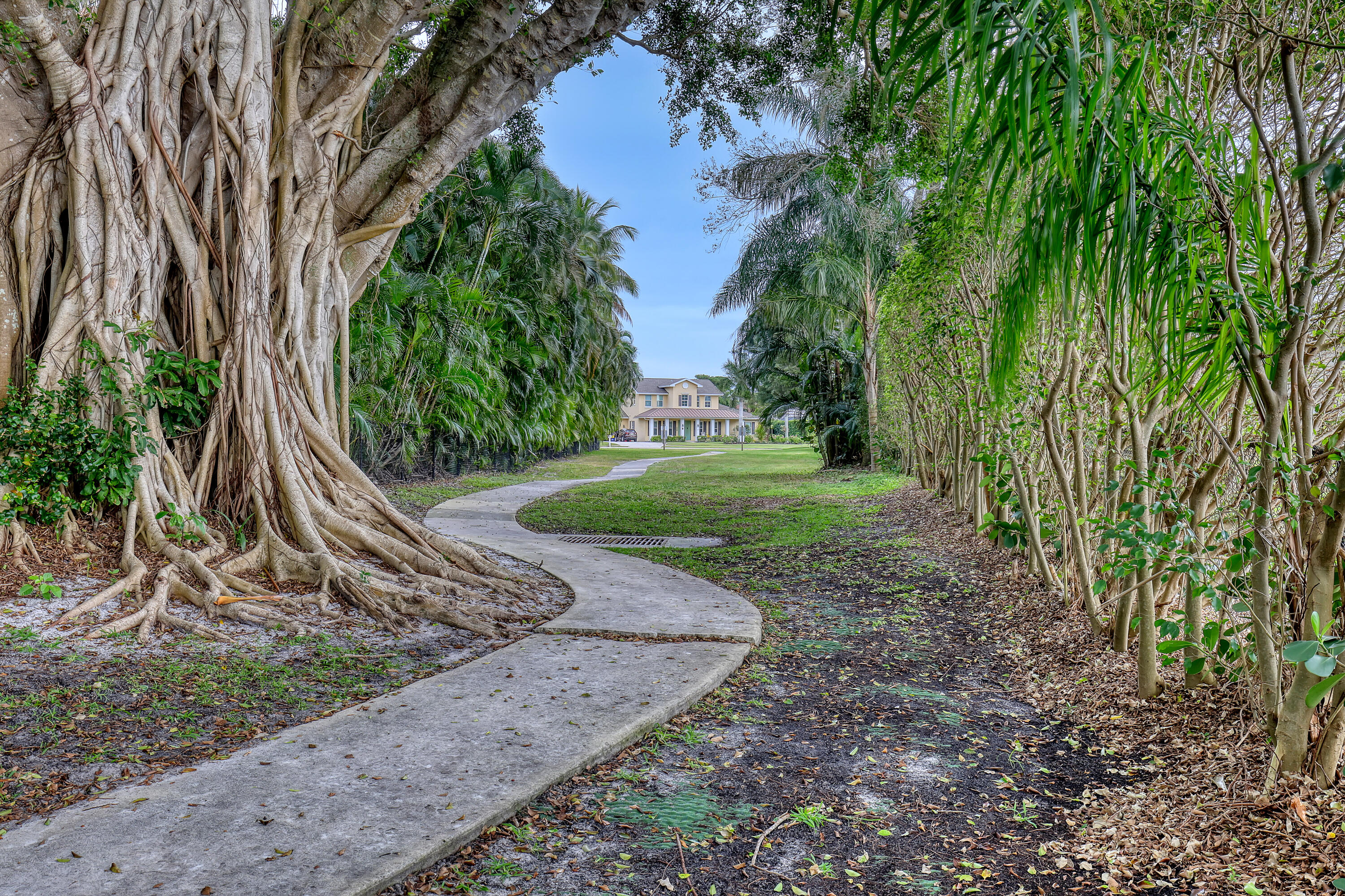 15 Shady Lane
