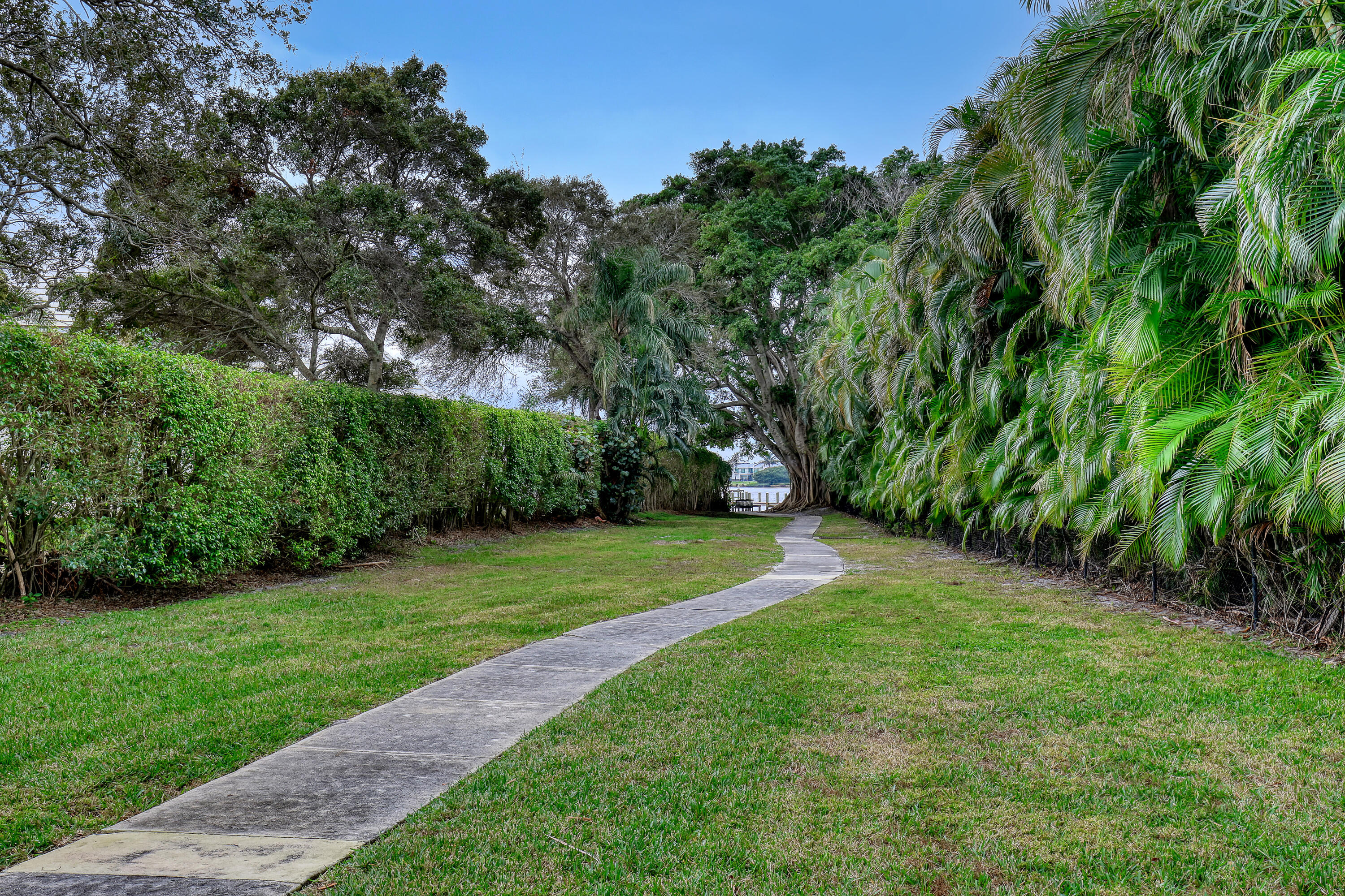 15 Shady Lane