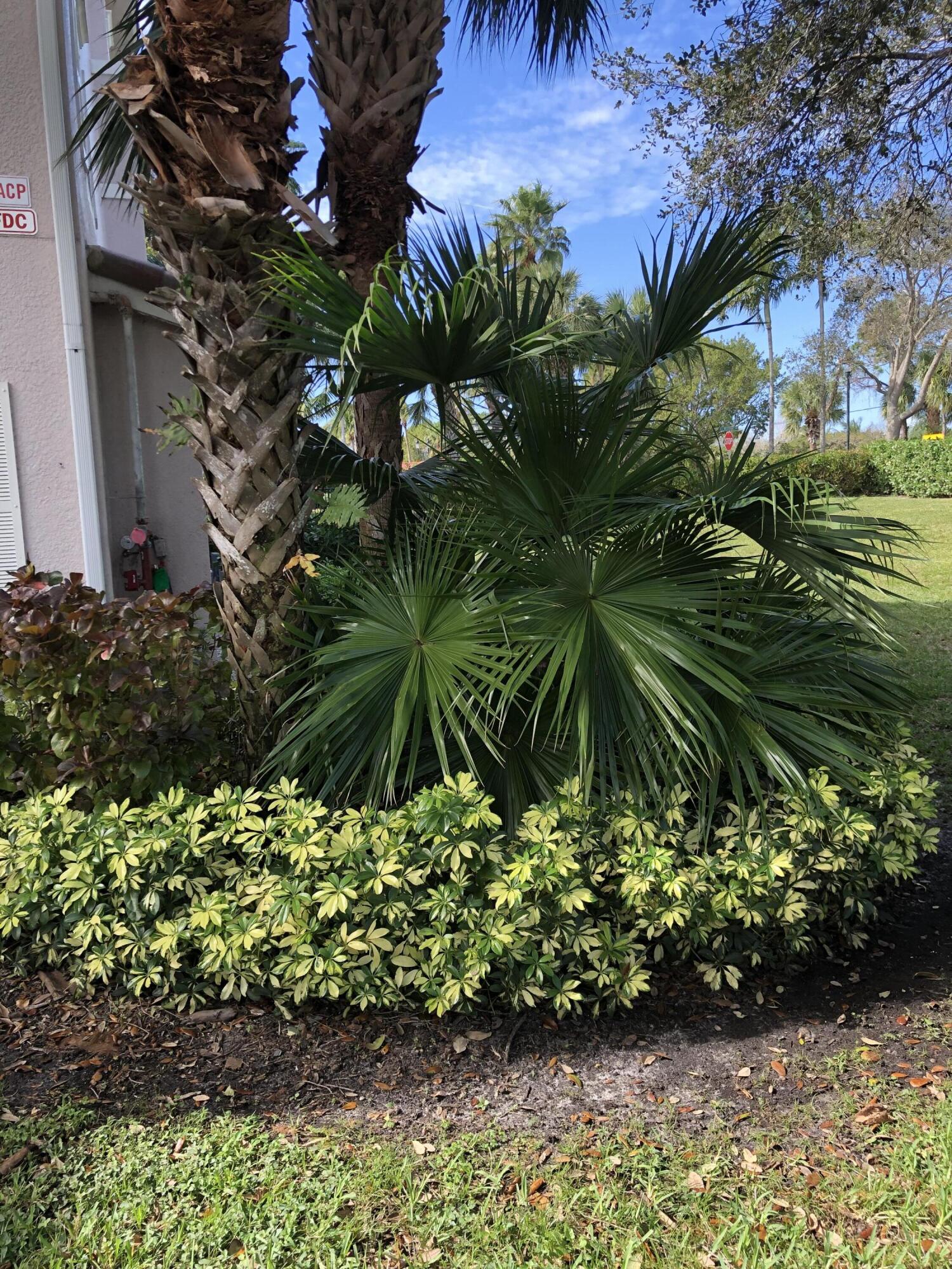 3023 Alcazar Place 305