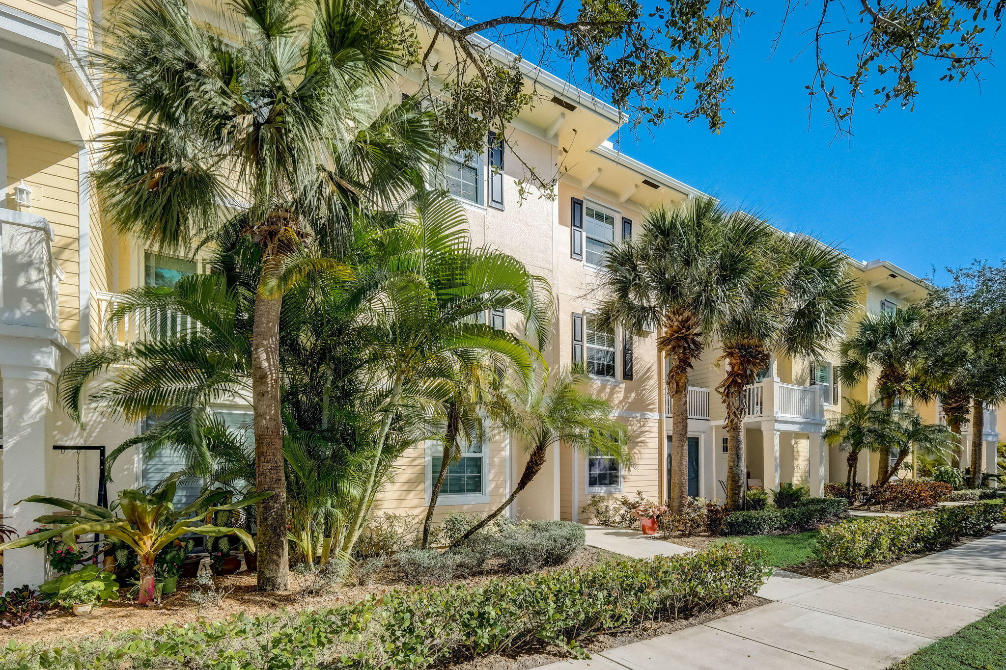 245 Murcia Drive 203