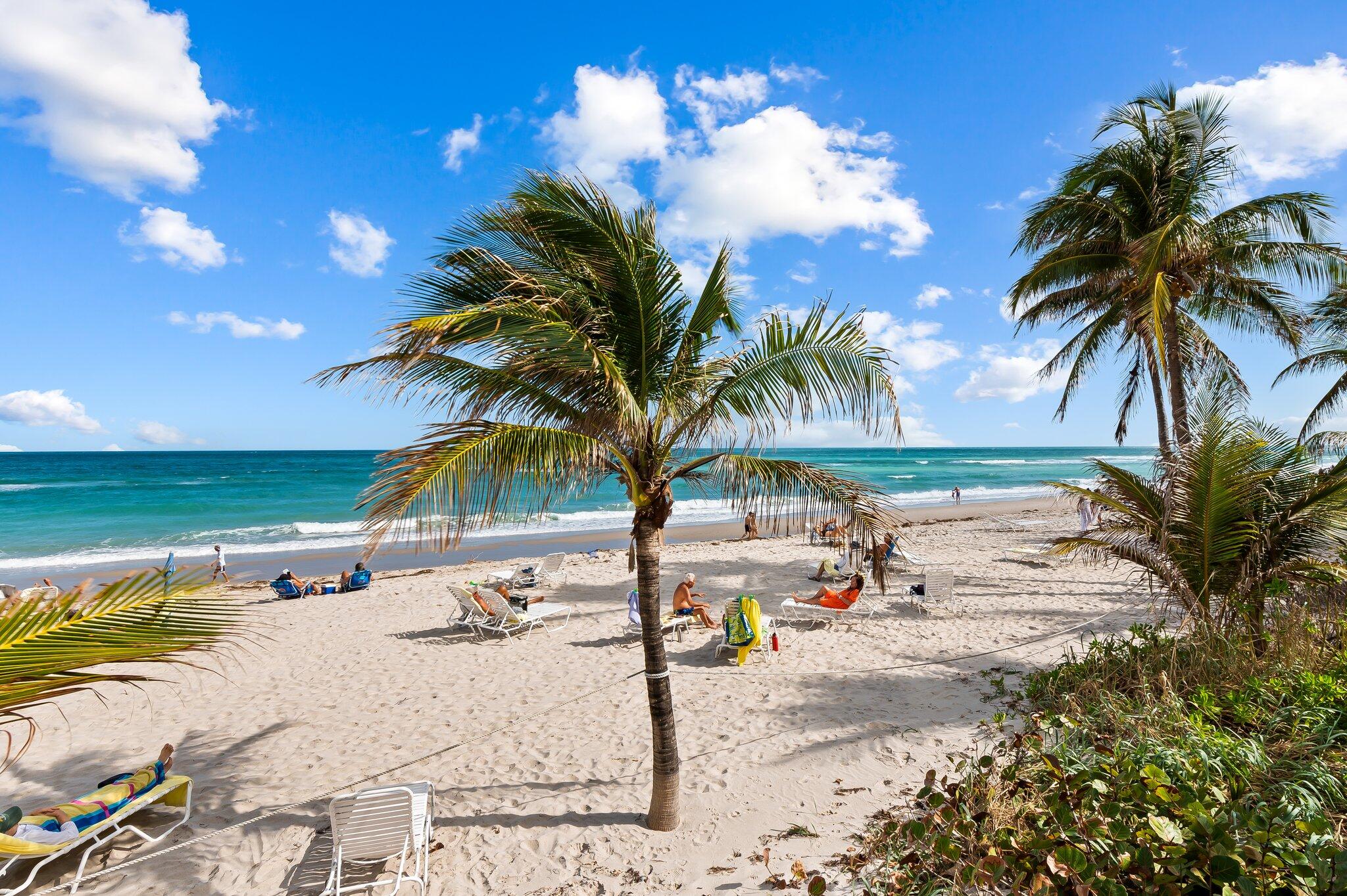 2030 S Ocean Drive 310