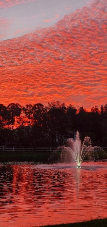 18486 Claybrook Street Street