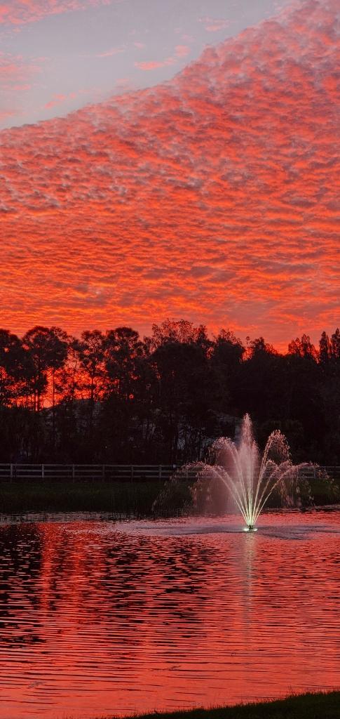 18486 Claybrook Street Street