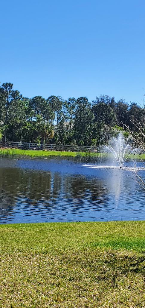 18486 Claybrook Street Street