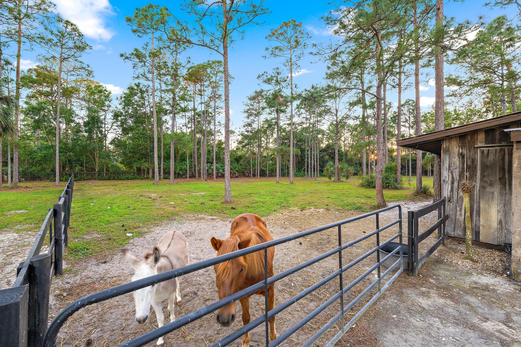 14765 128th Avenue N