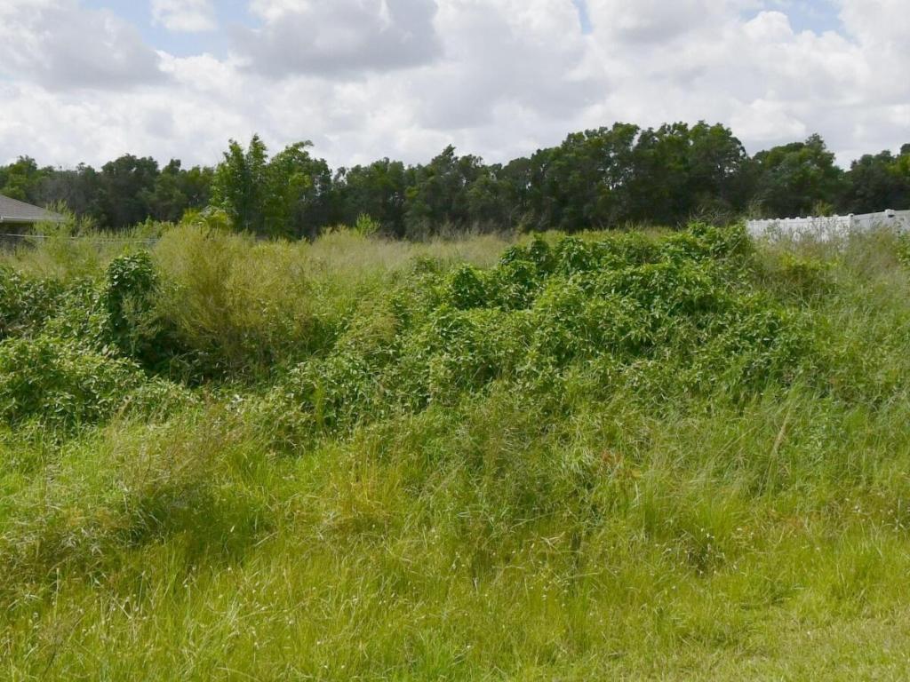 5382 NW West Paden Circle