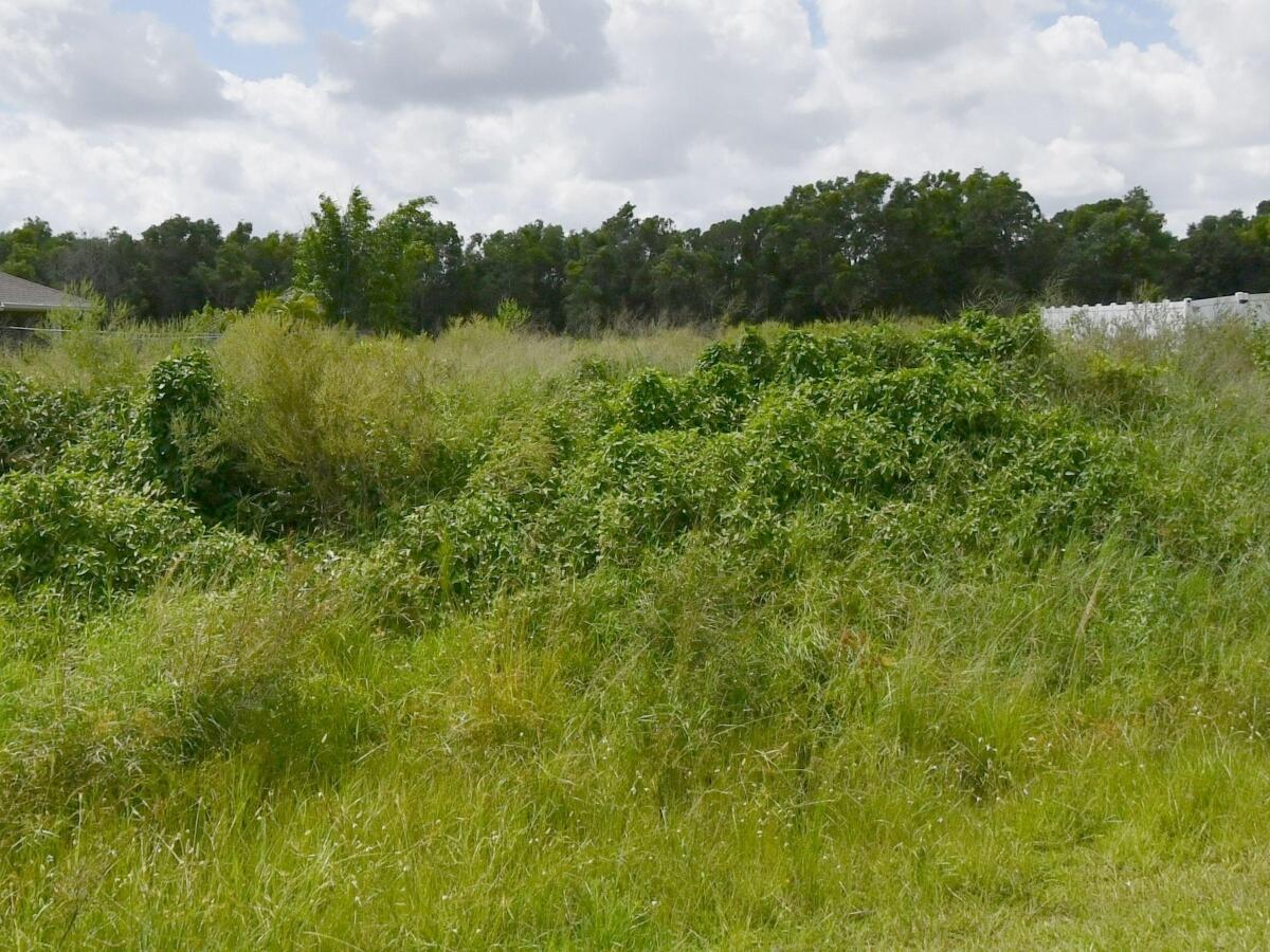 5382 NW West Paden Circle