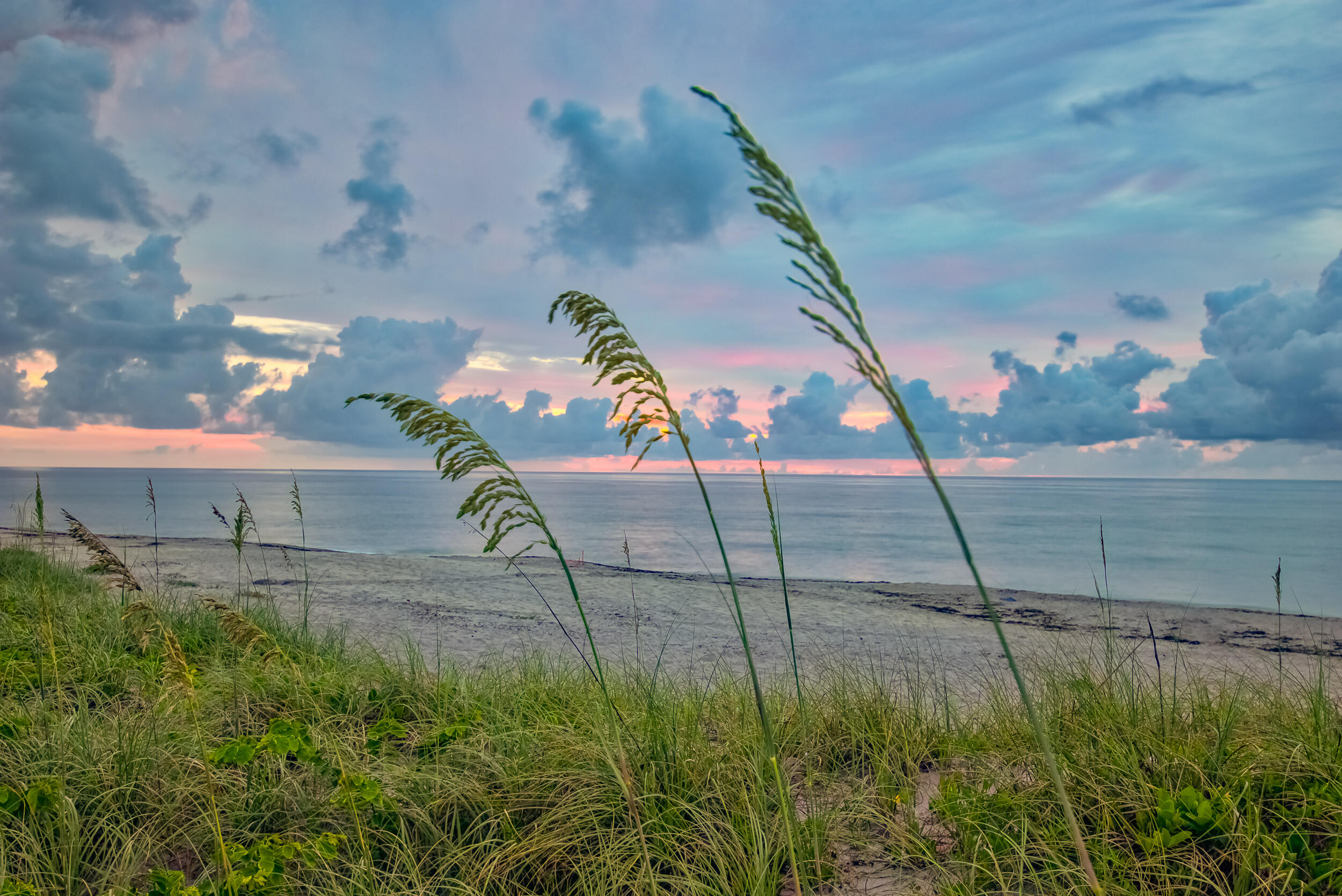 15129 Harriet Avenue