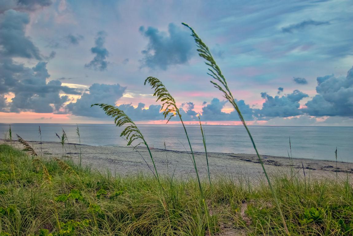 15129 Harriet Avenue