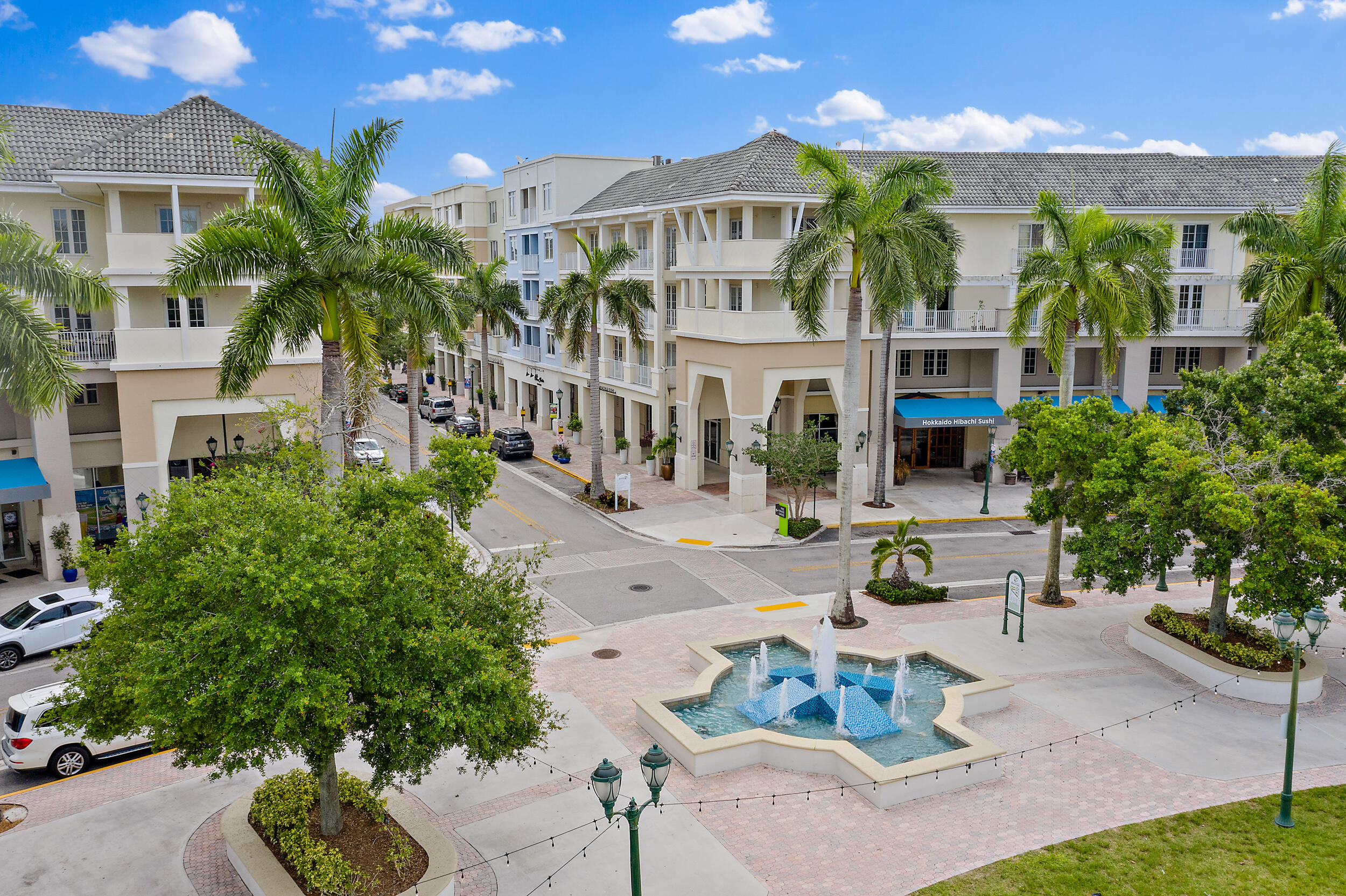1203 Town Center Drive 201