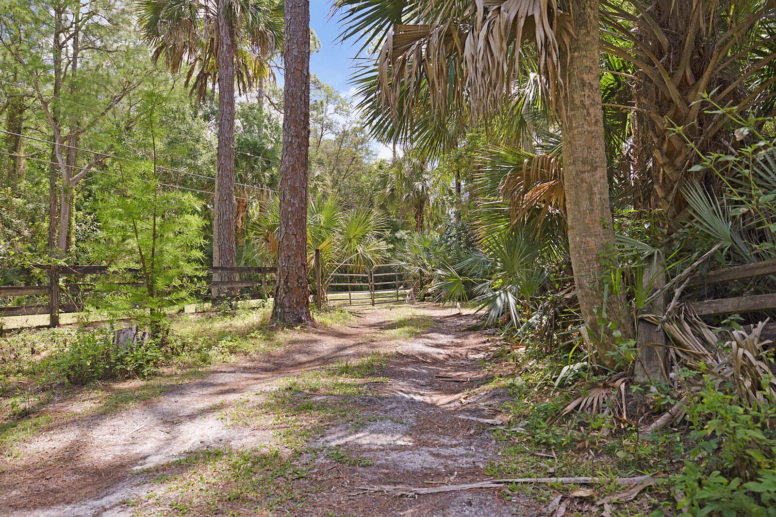 18363 Island Oak Avenue