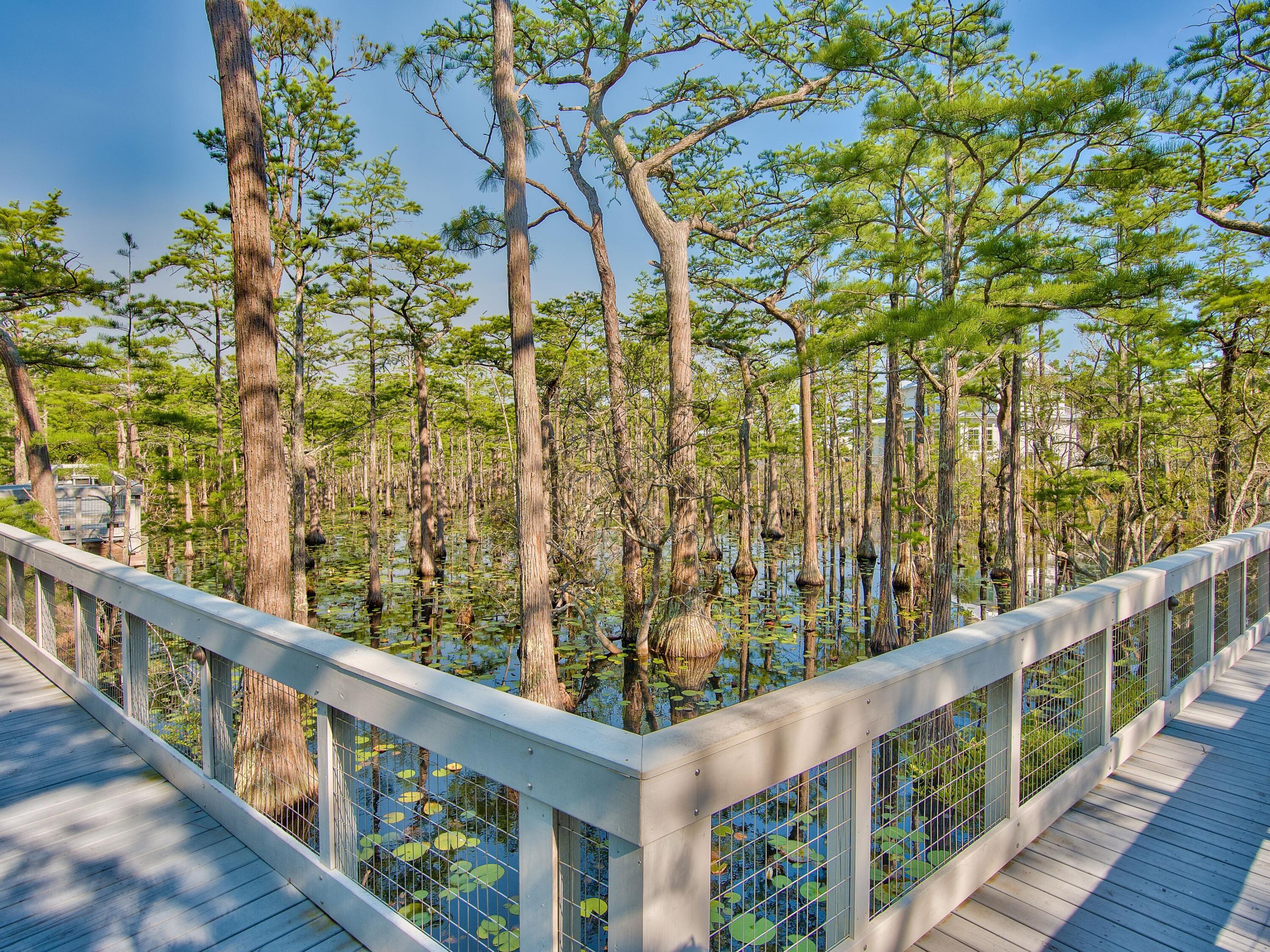 Lot 16 Cypress Drive